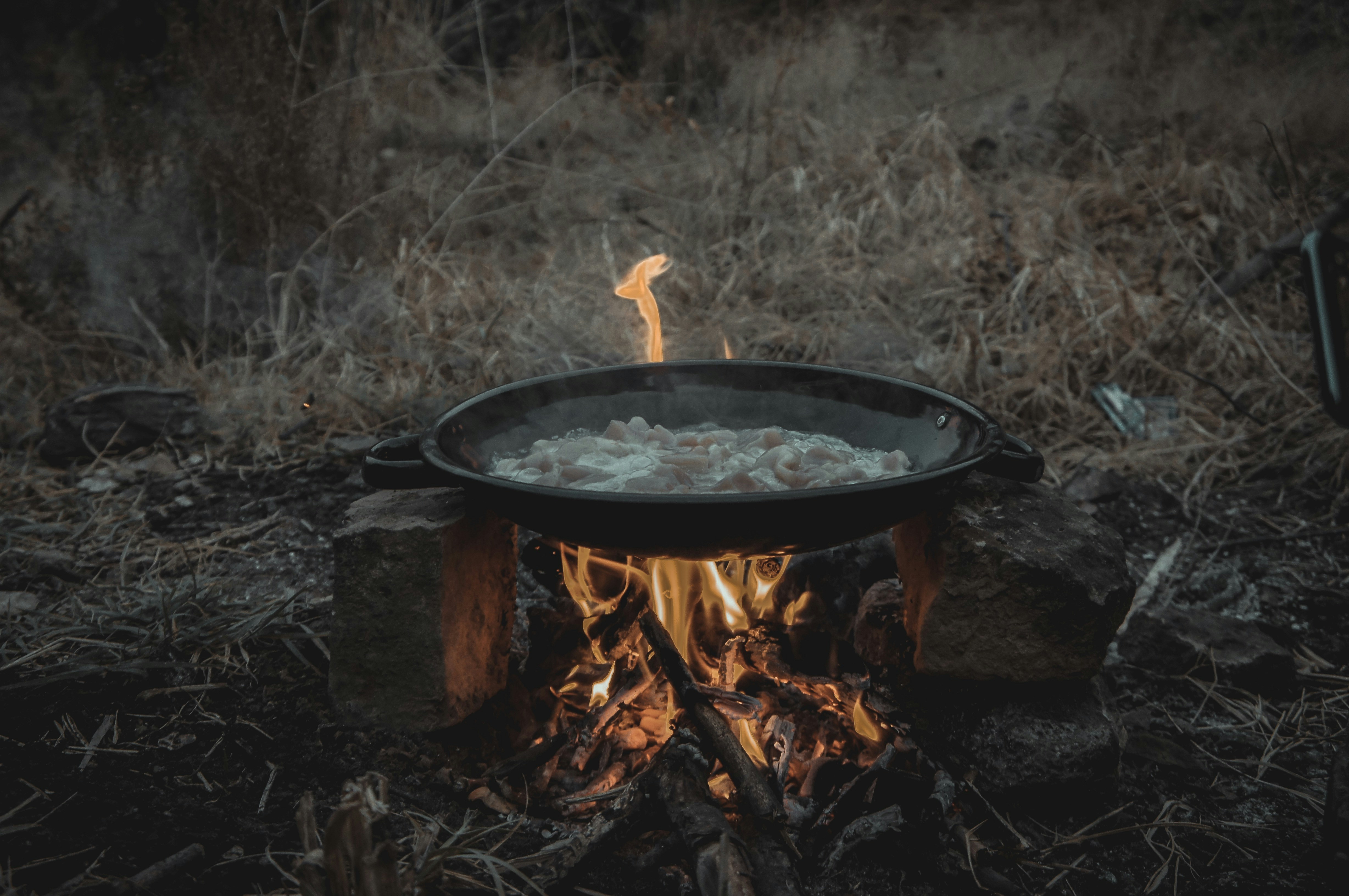 Best dove recipes for camping meals?