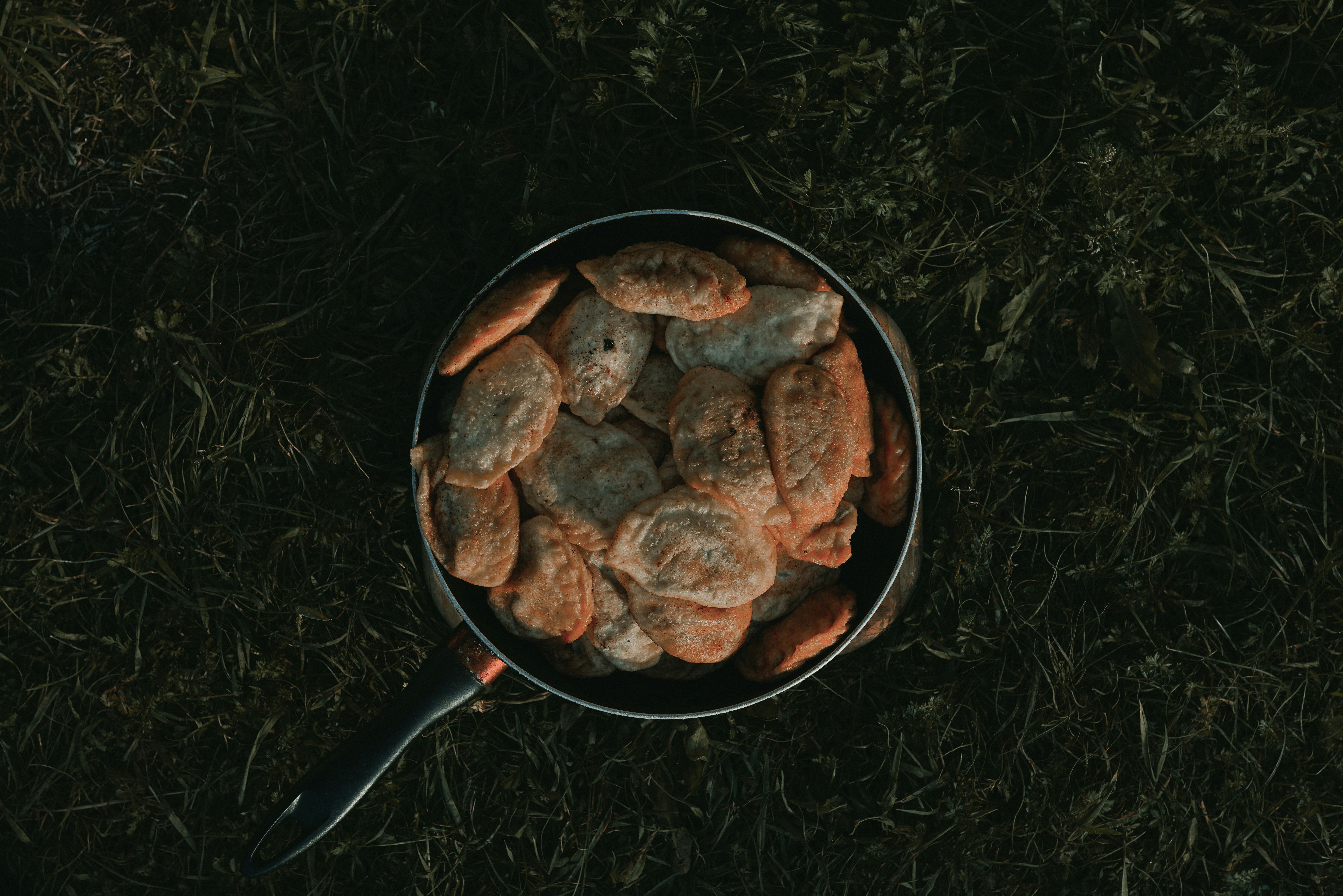 Best dove recipes for fall hunting?