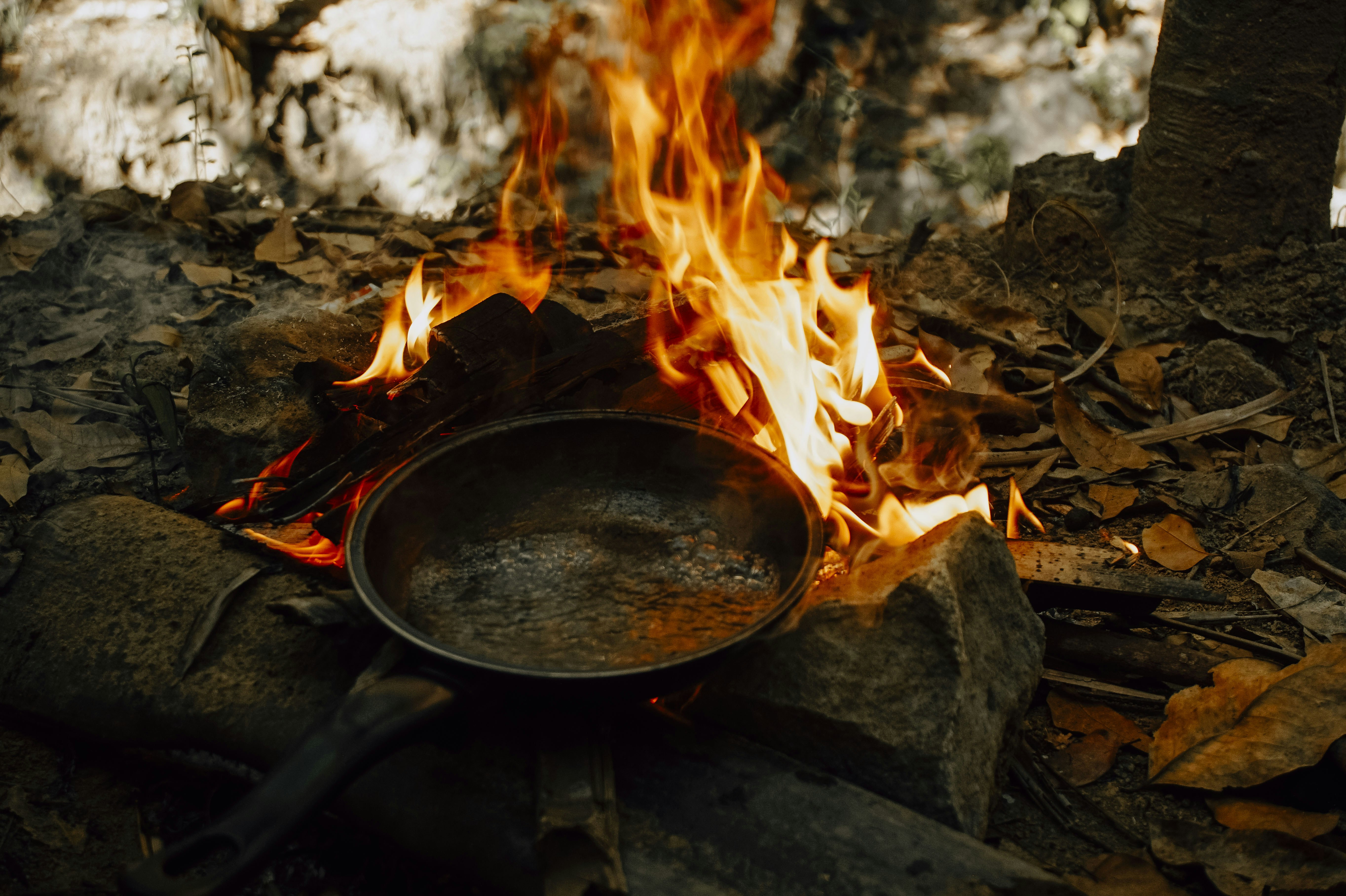 Best elk recipes for camping meals?