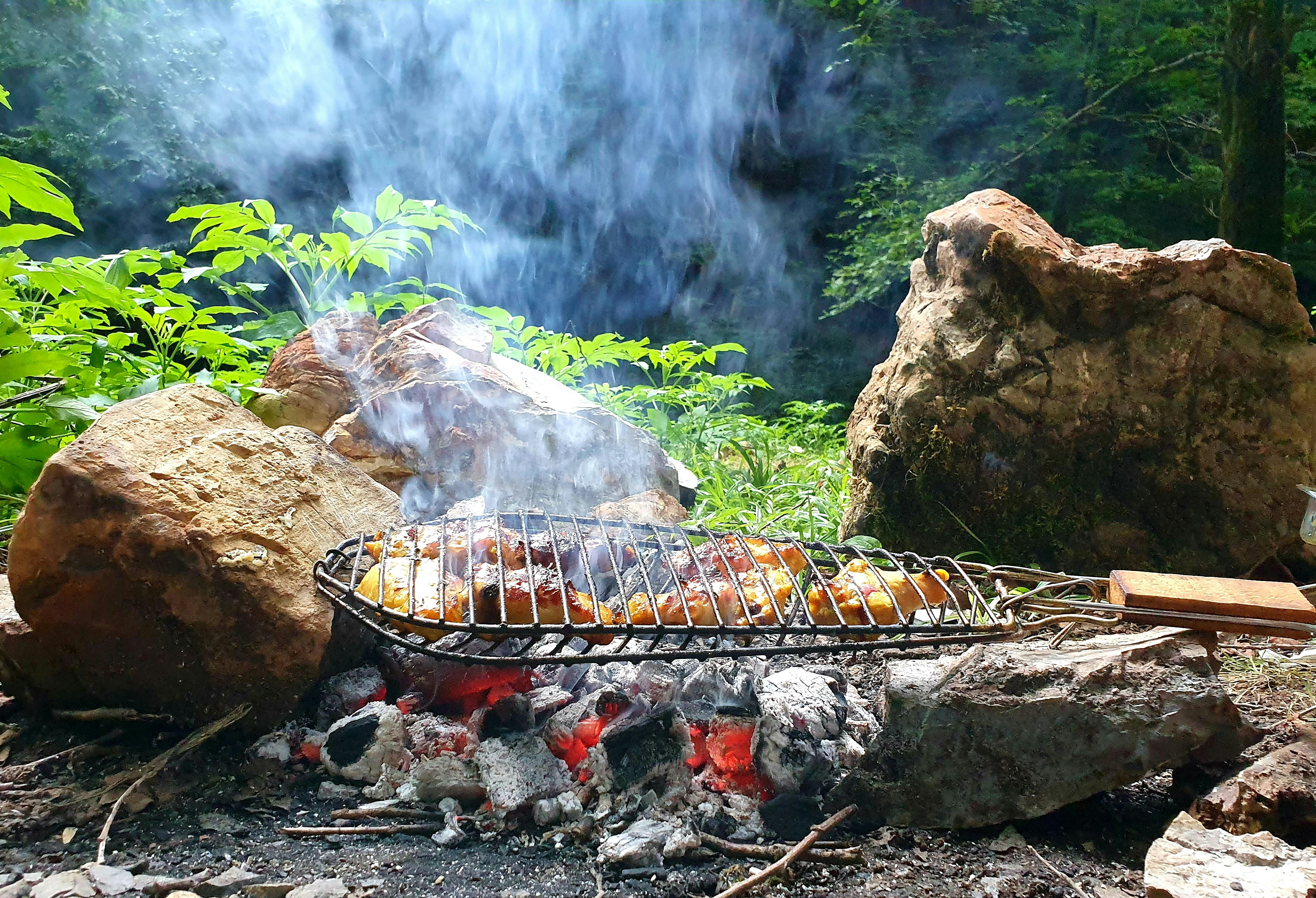 Best elk recipes for holiday meals?