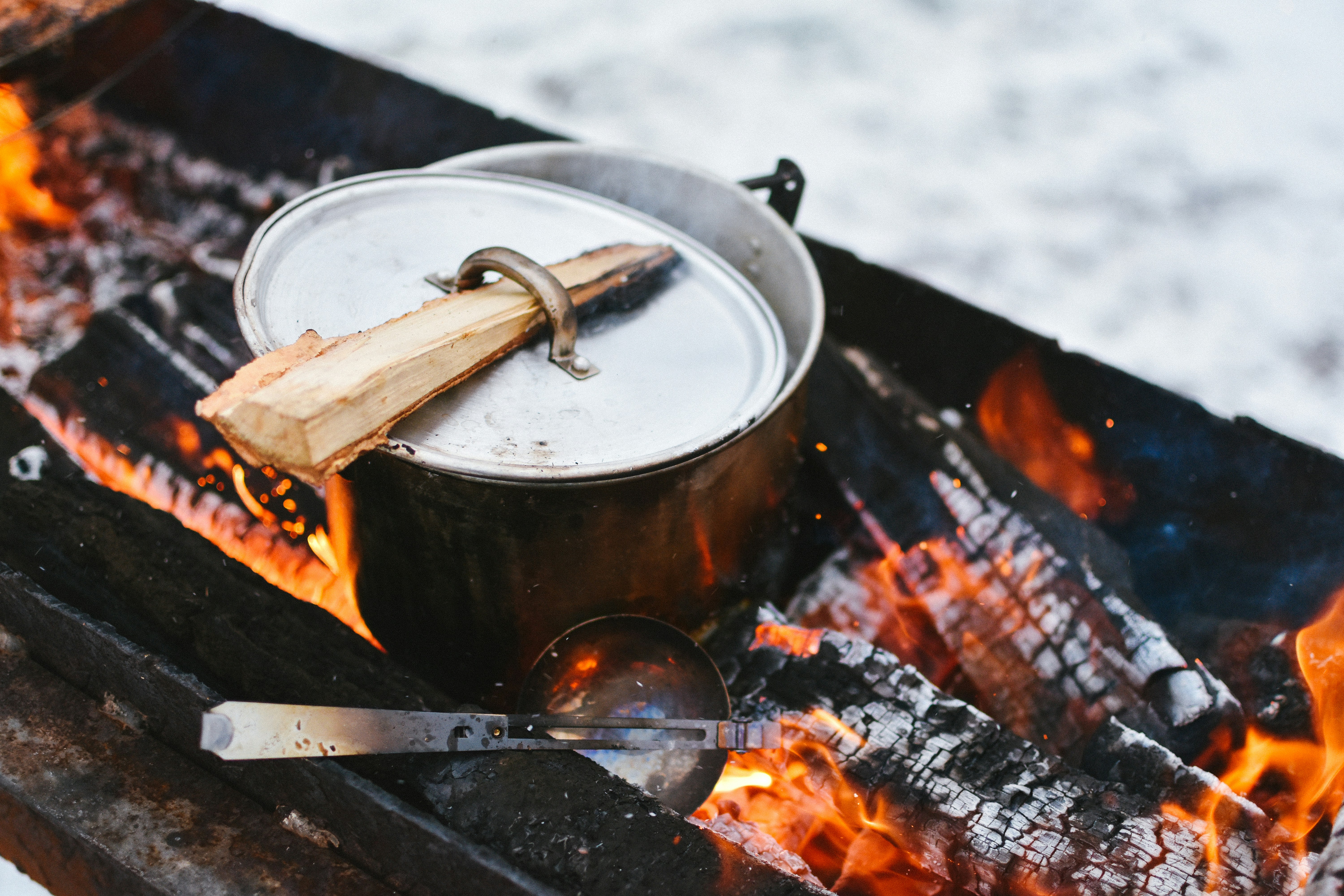 Best elk recipes for summer grilling?