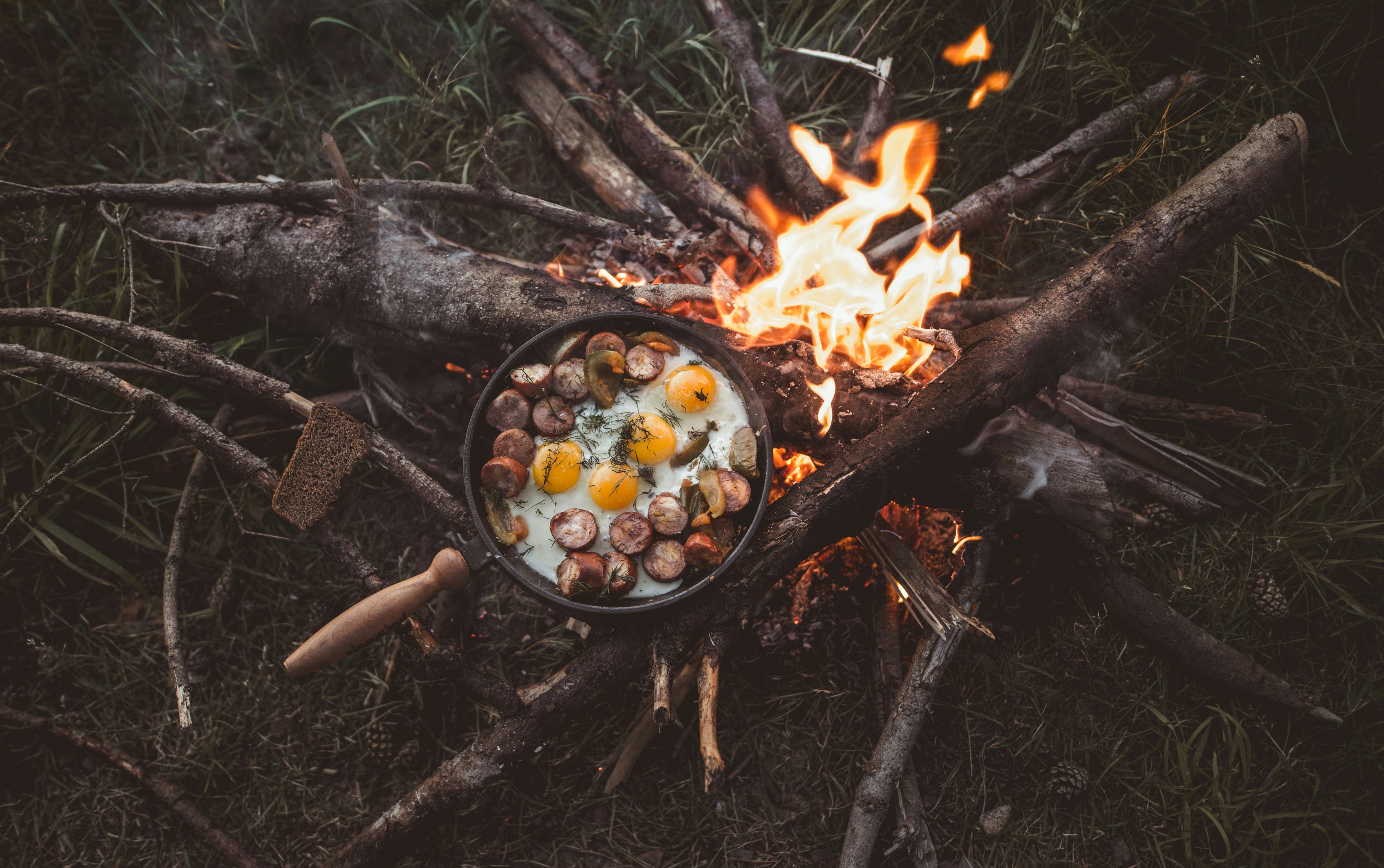 Best goose recipes for camping meals?