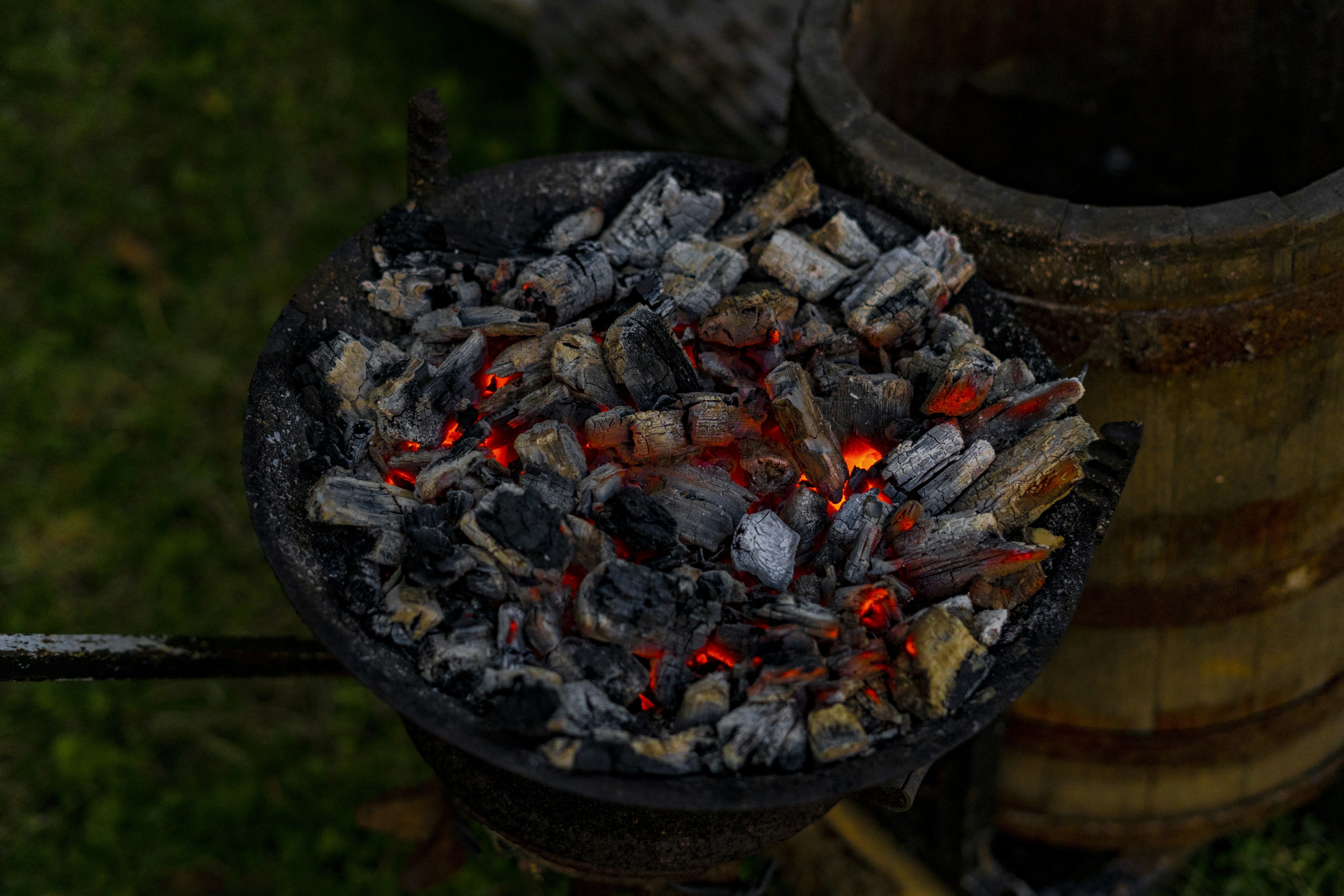Best goose recipes for spring preparation?