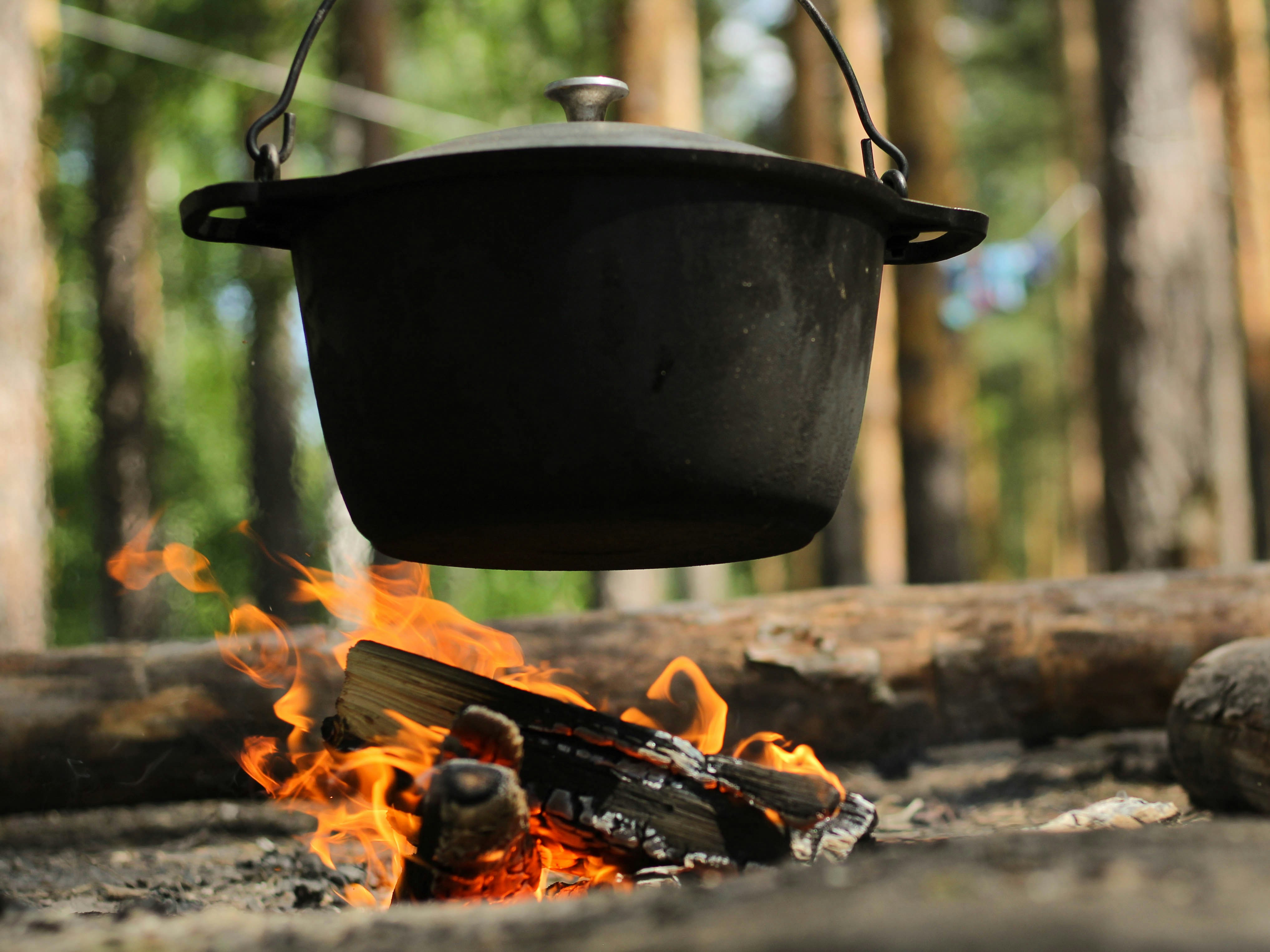 Best goose recipes for winter cooking?