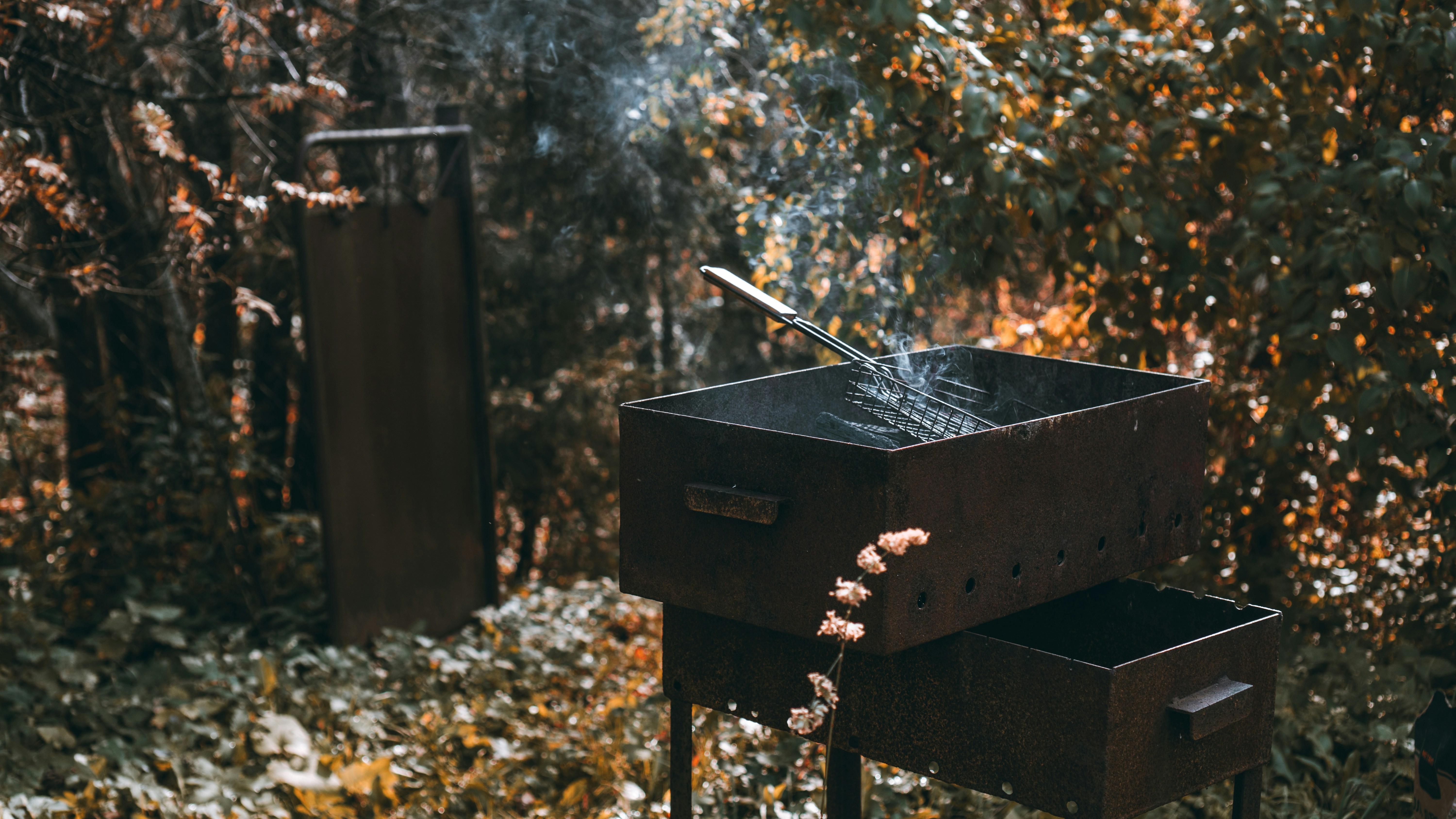 Best moose recipes for fall hunting?