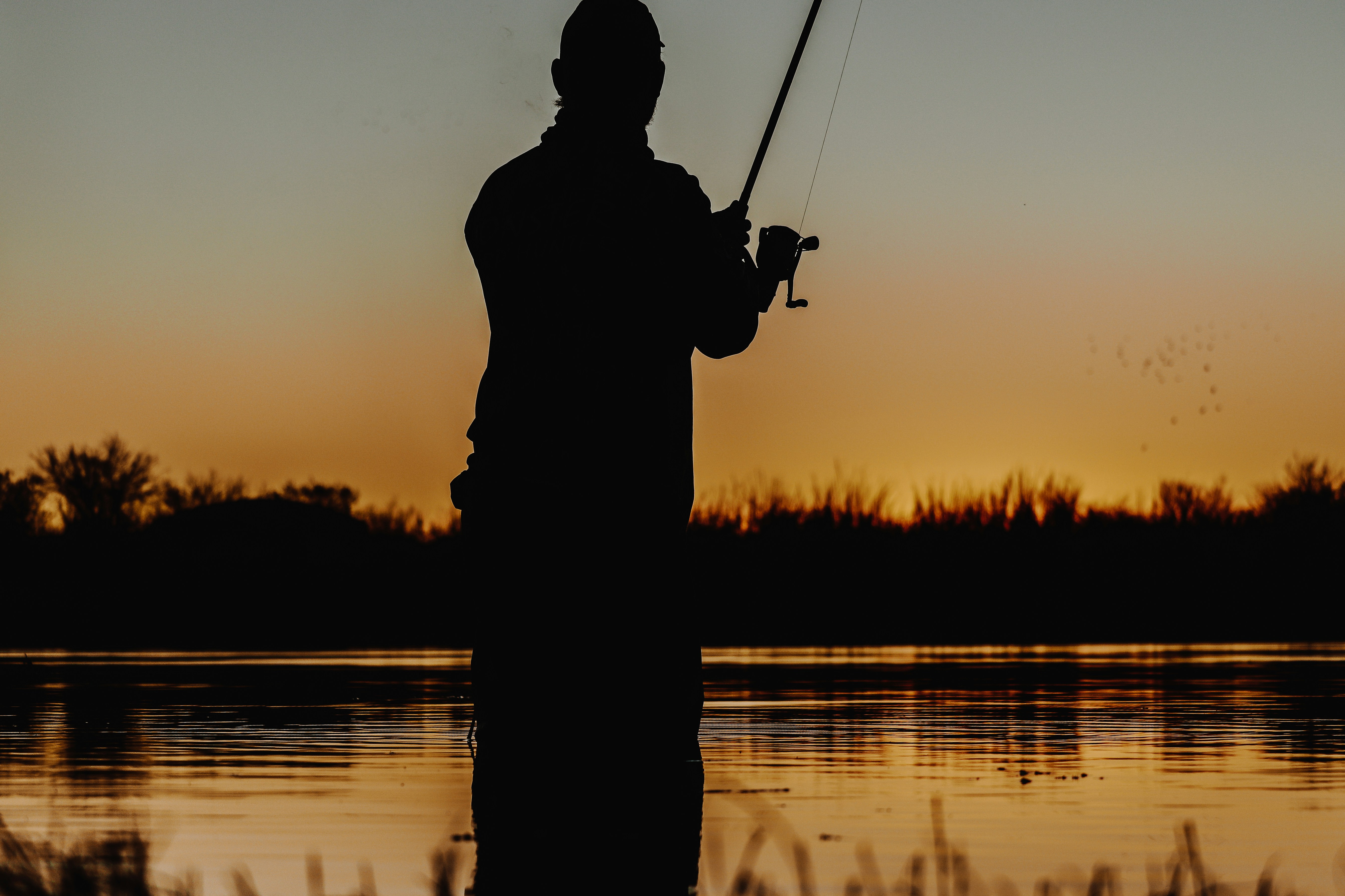 Best places to hunt pronghorn antelope in ARKANSAS