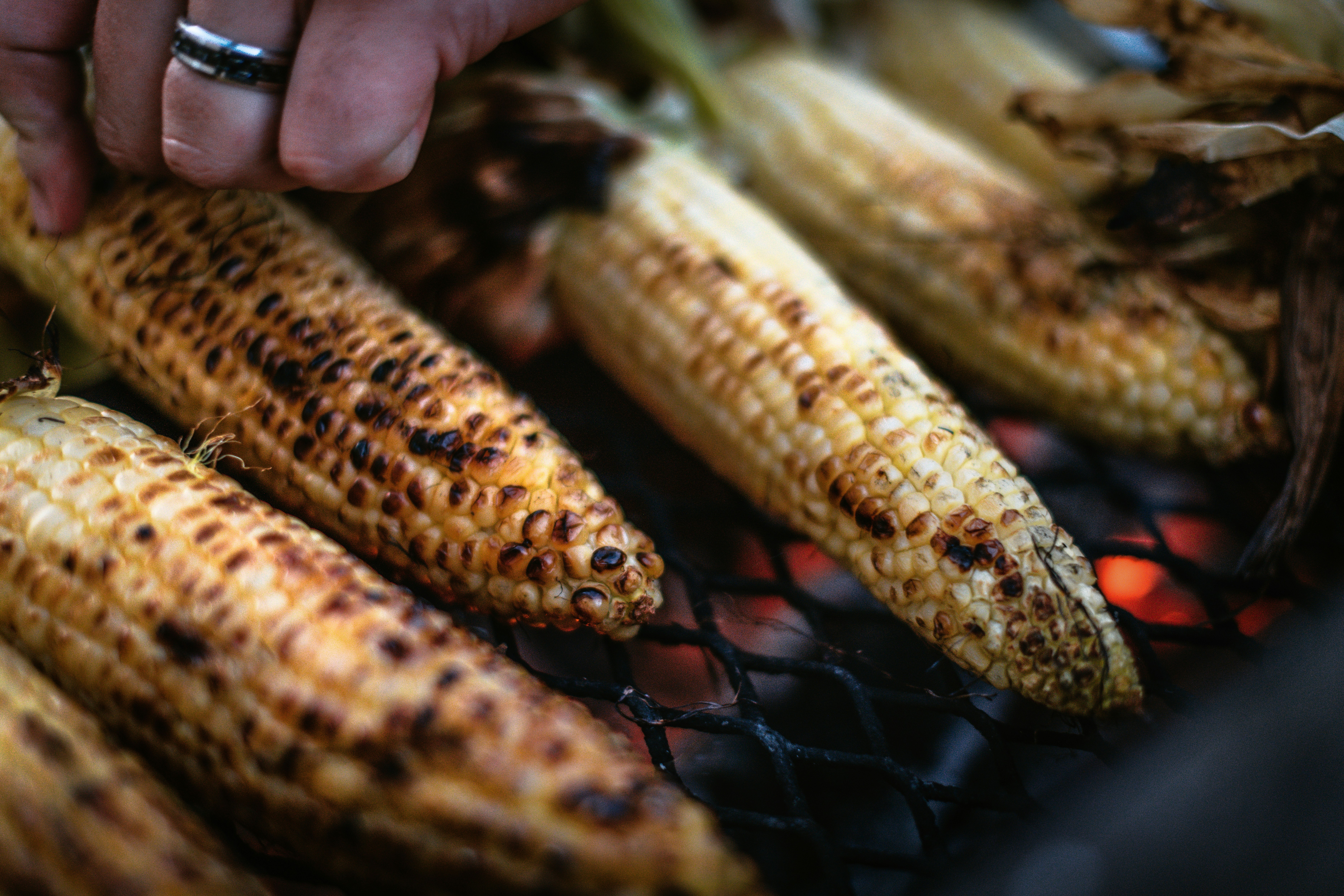 Best squirrel recipes for camping meals?