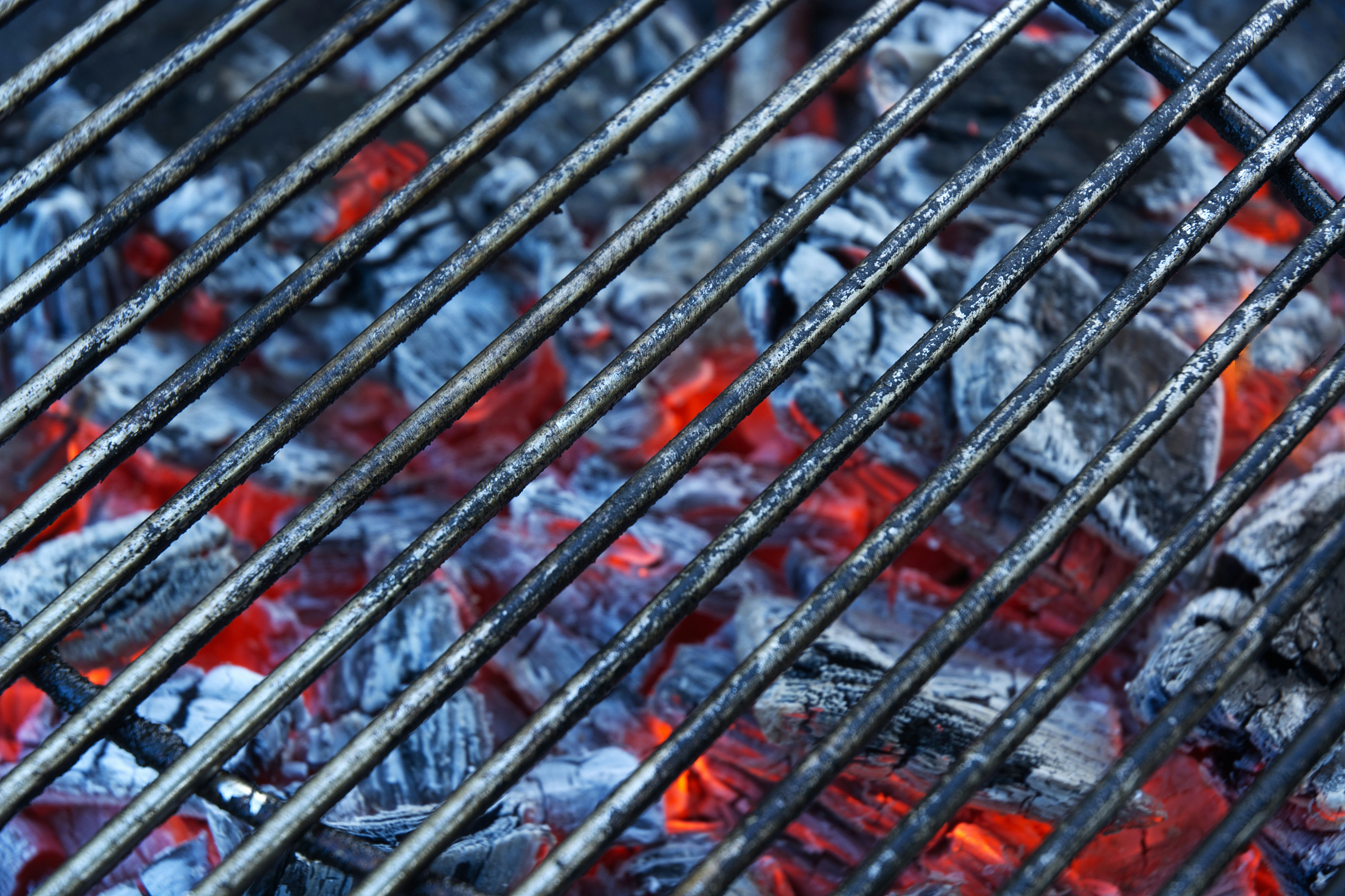 Best Squirrel Recipes For Hunting Season