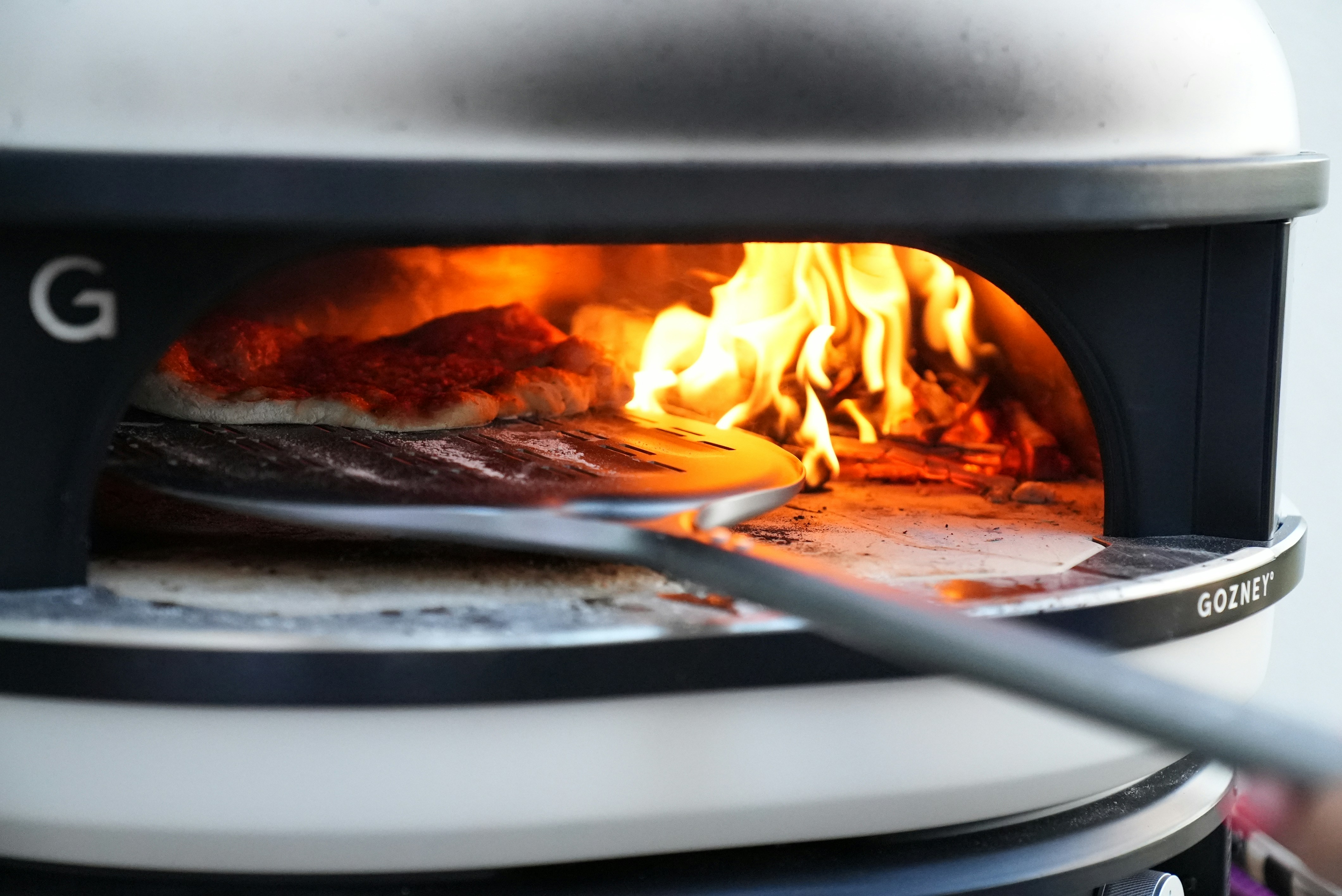 Best squirrel recipes for winter cooking?