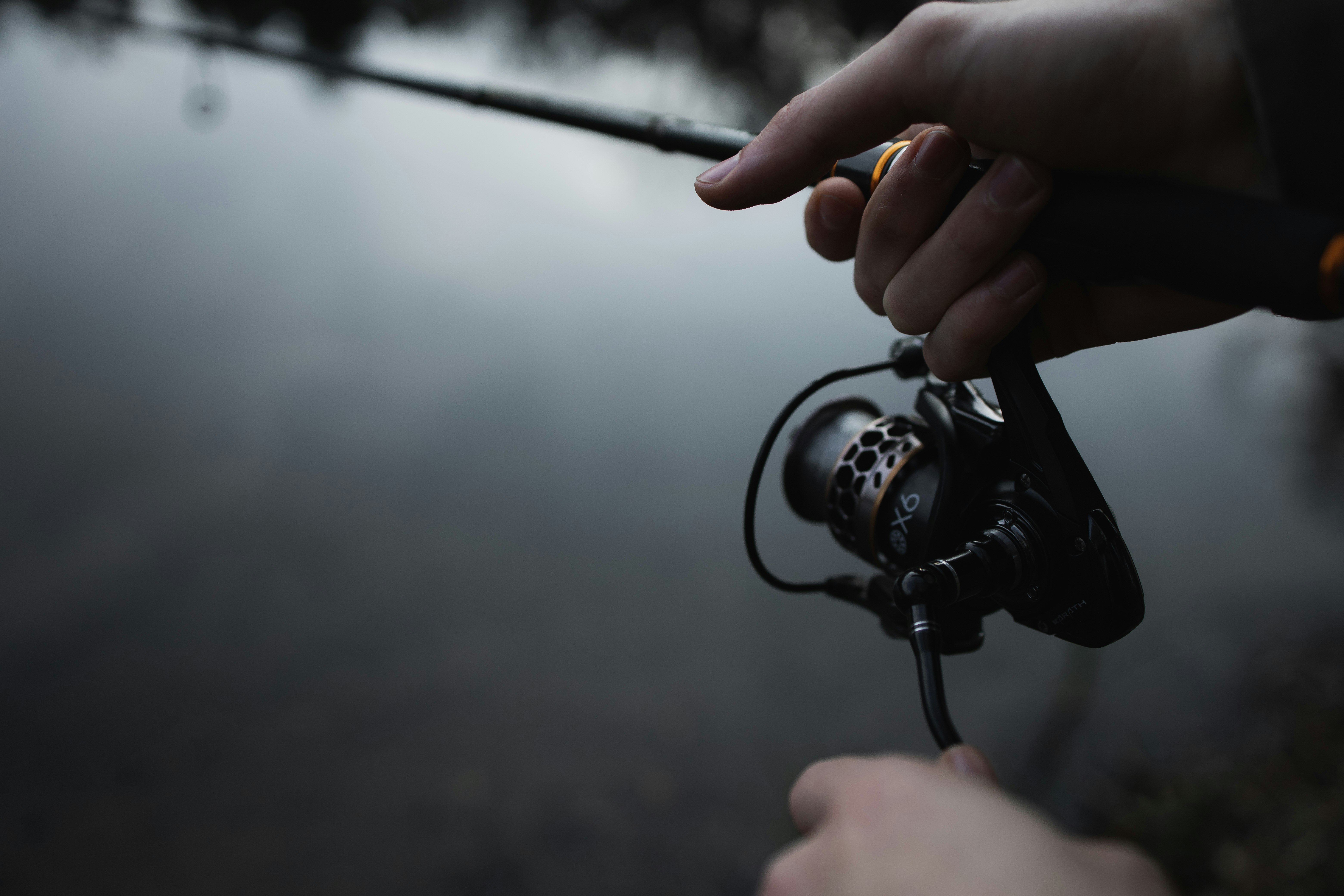 Best traditional archery for whitetail deer hunting