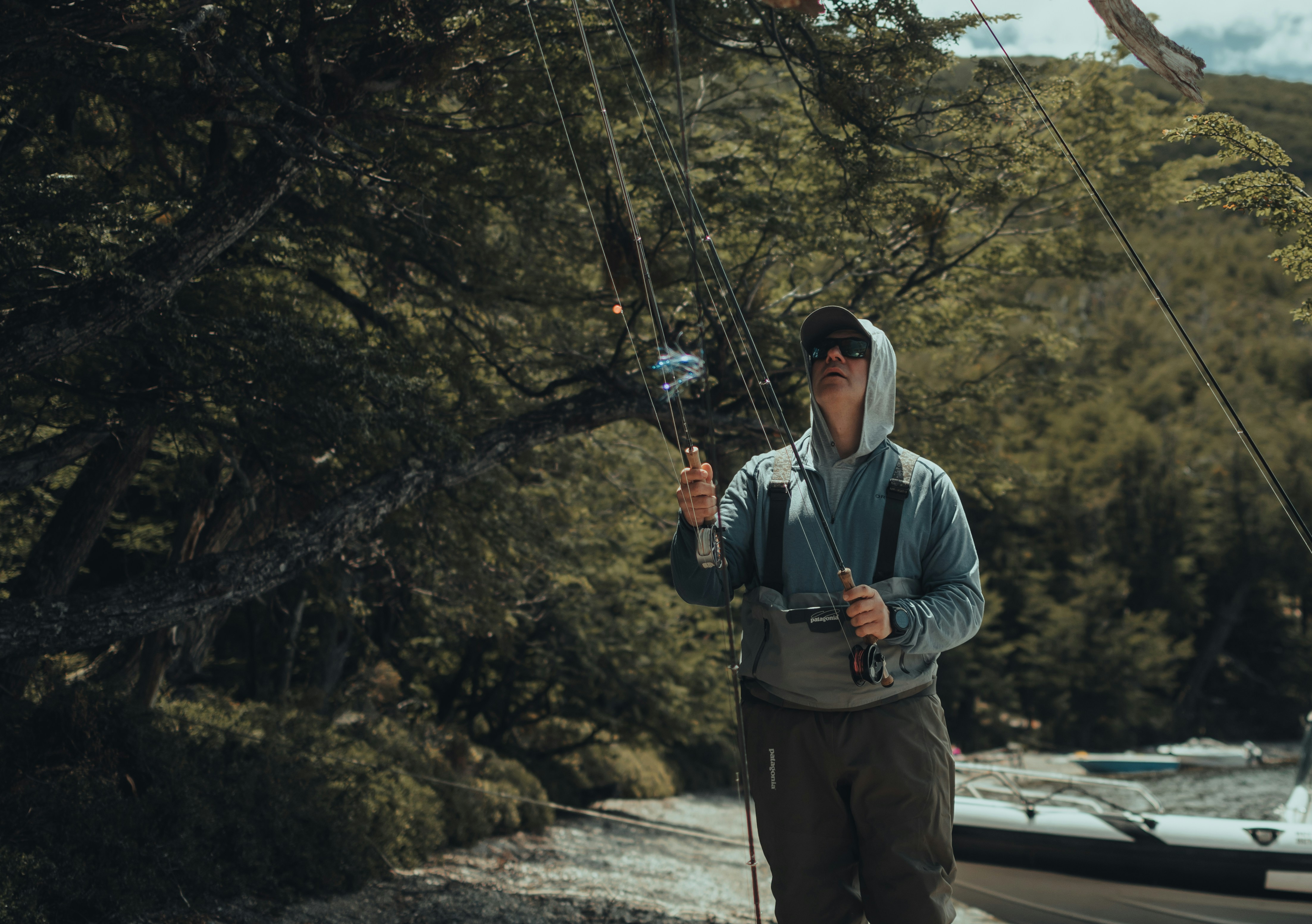 Best tree stands for mountain lion hunting