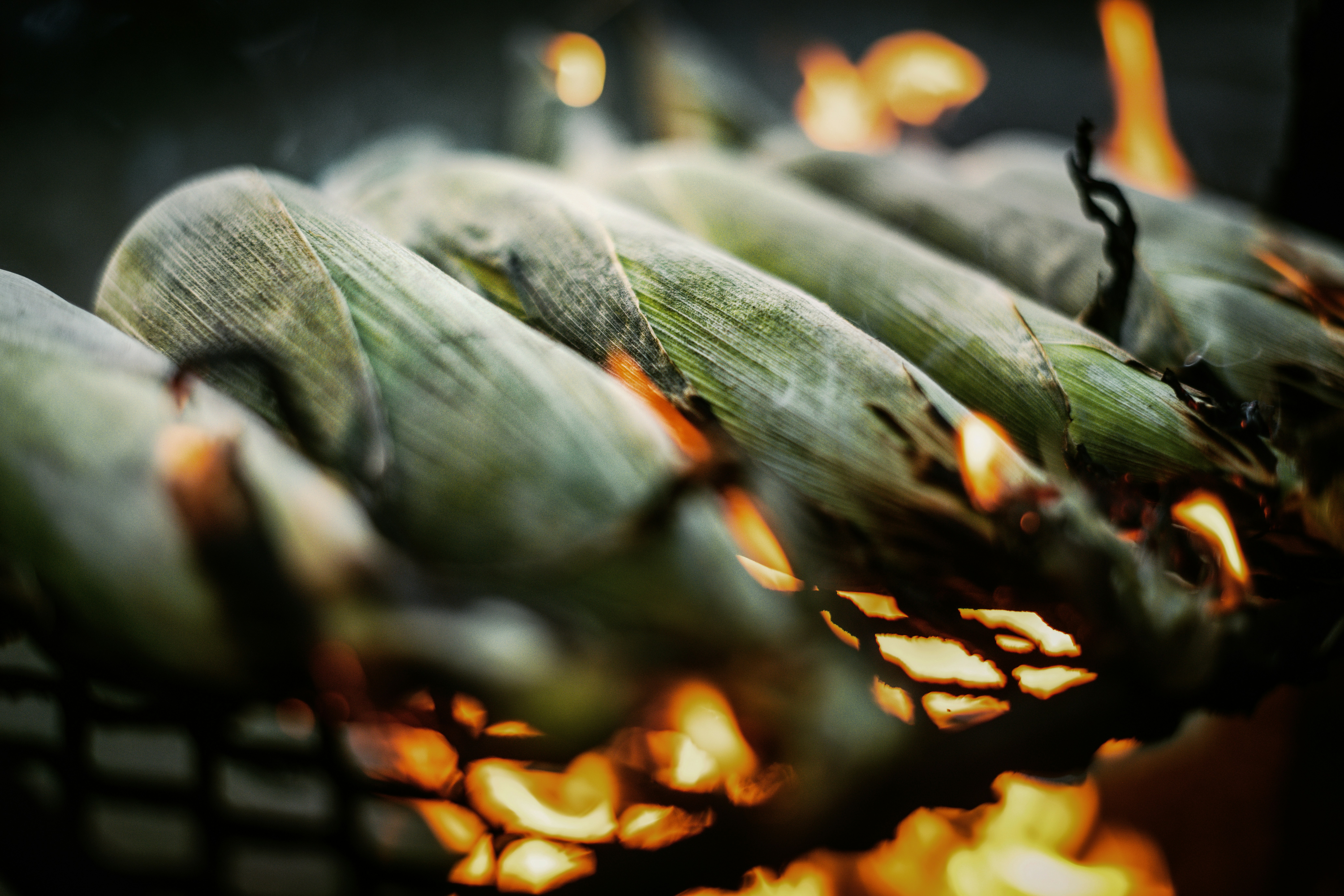 Best turkey recipes for fall hunting?