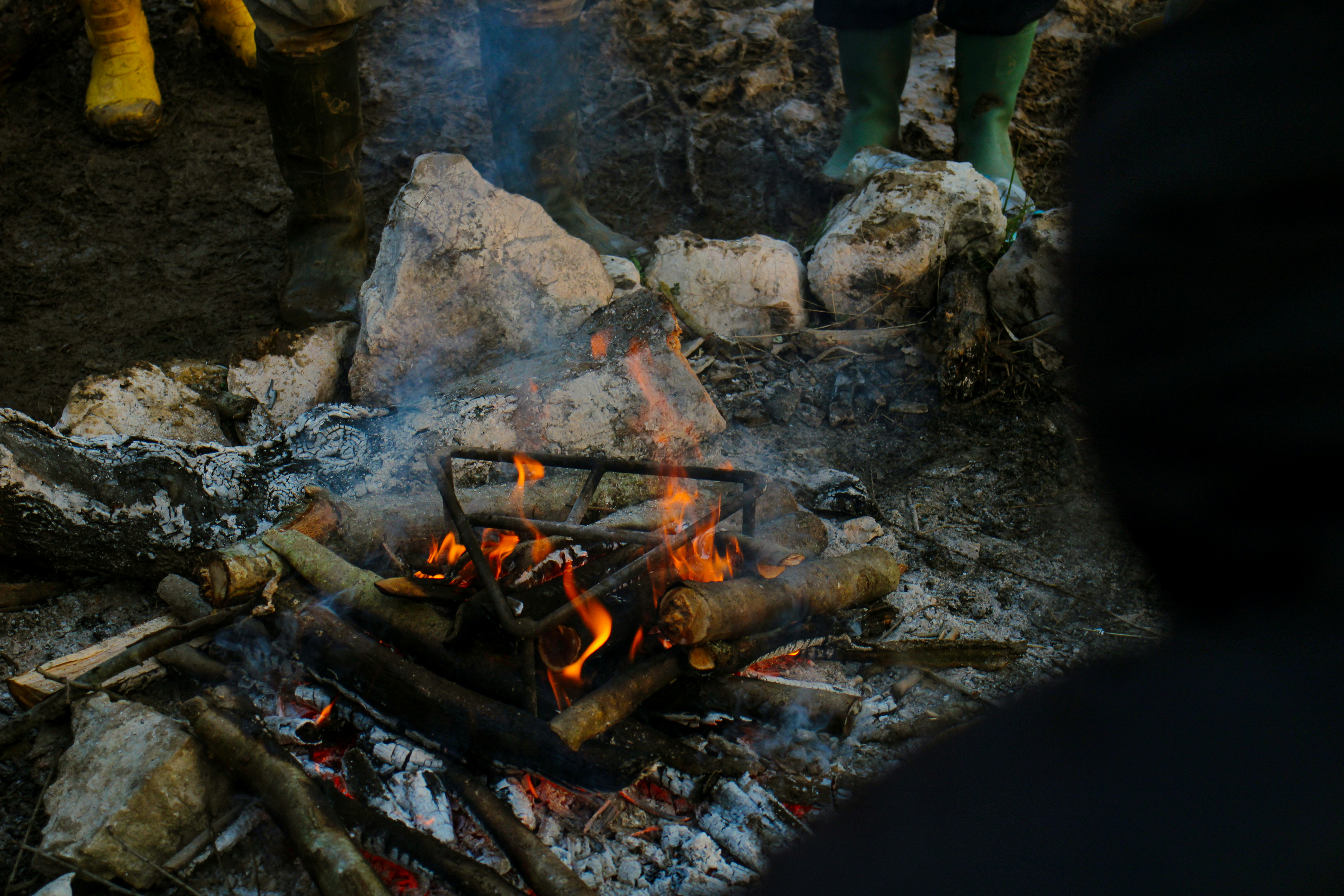Best wild boar recipes for off season?