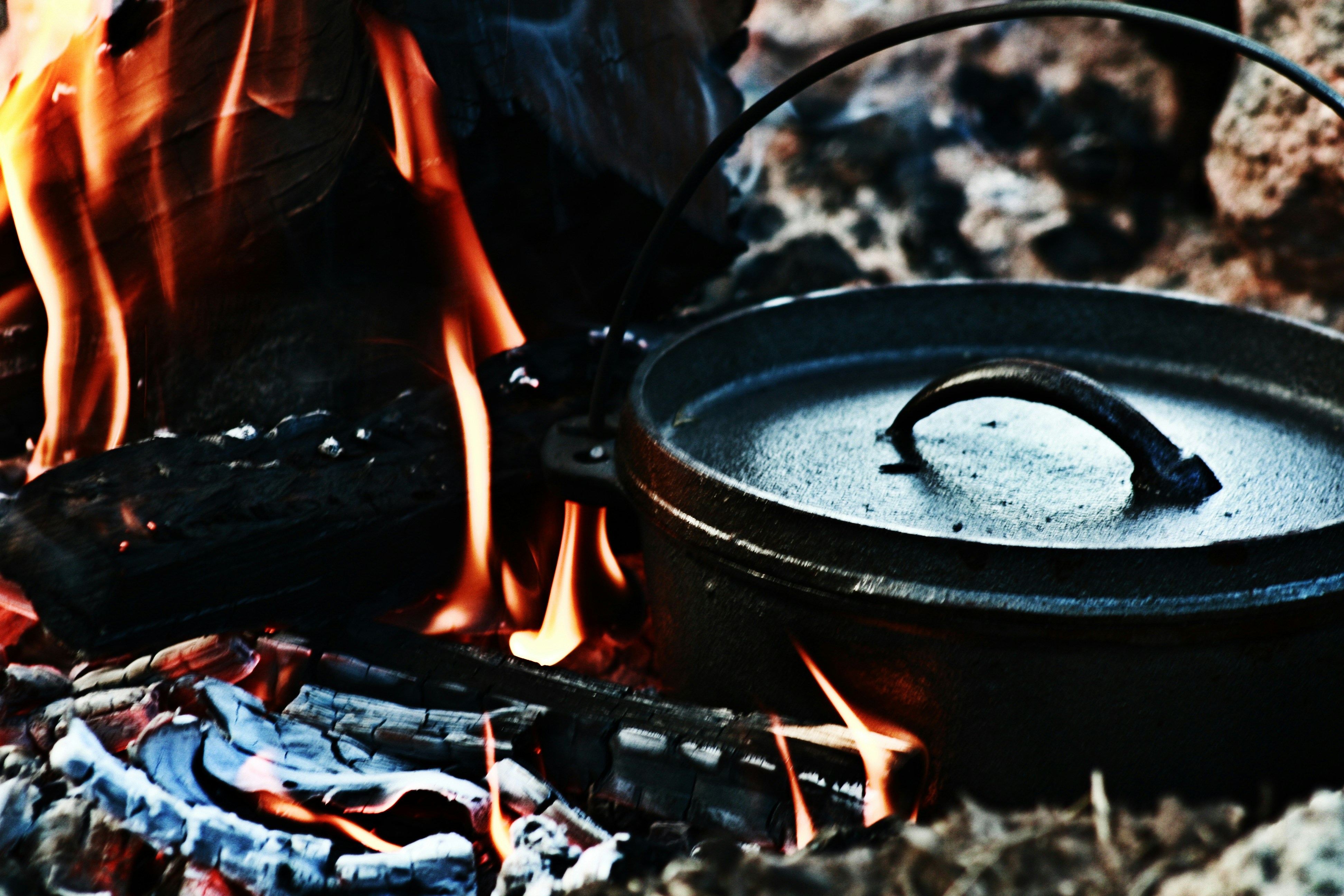 Best wild boar recipes for spring preparation?