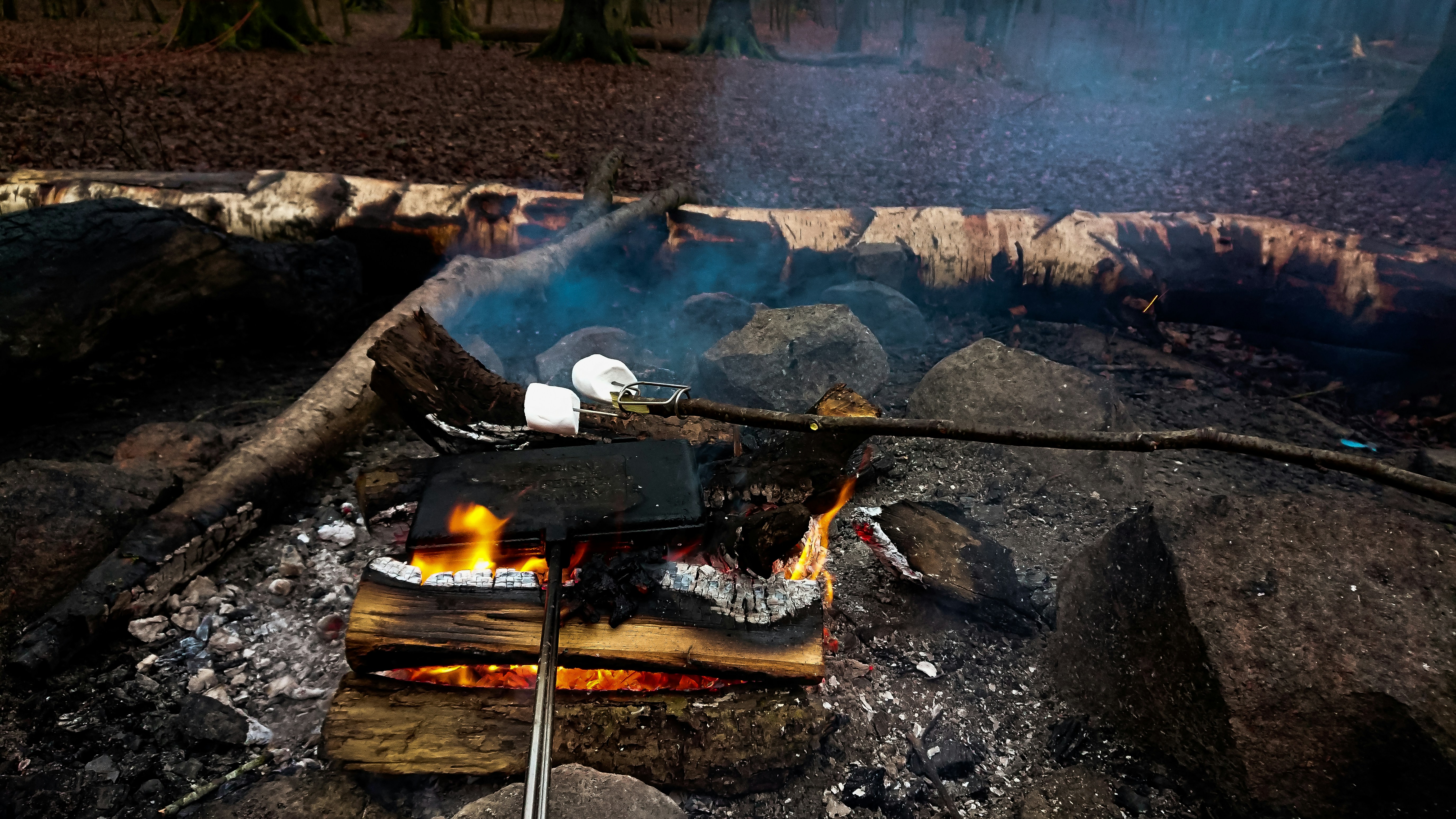 Best wild boar recipes for summer grilling?