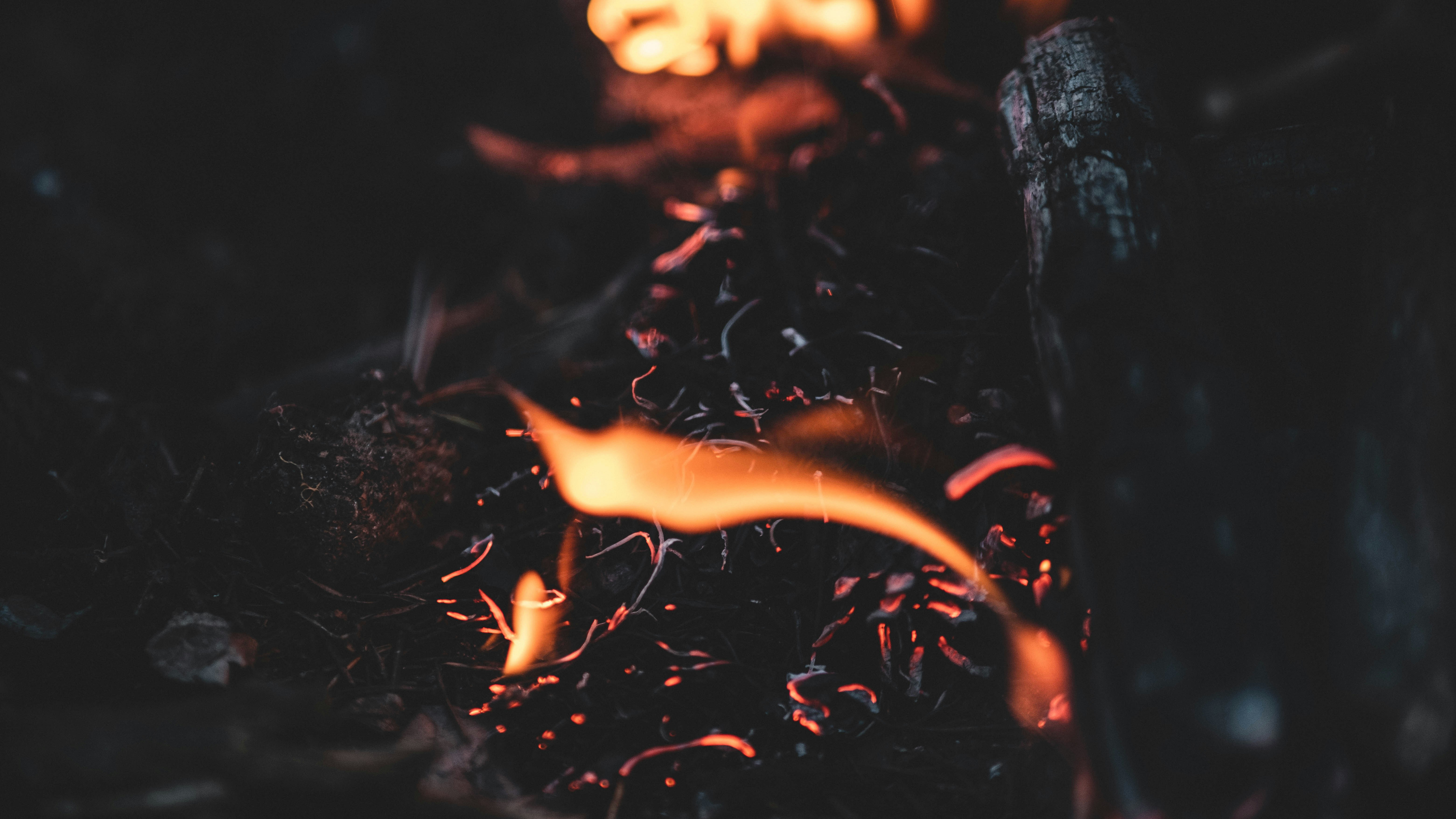 Best wild game recipes from Arkansas?