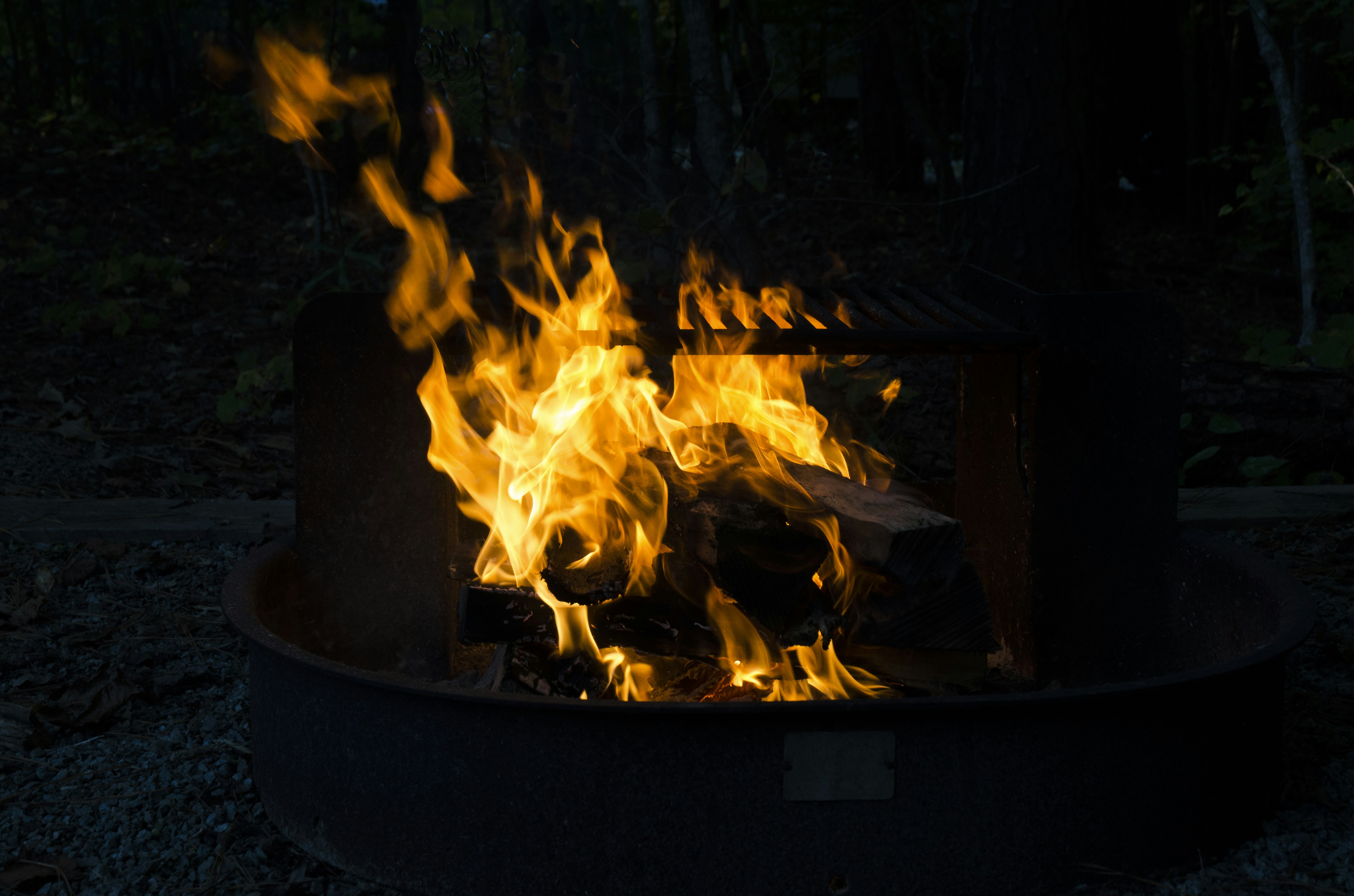 Best wild game recipes from Nevada?