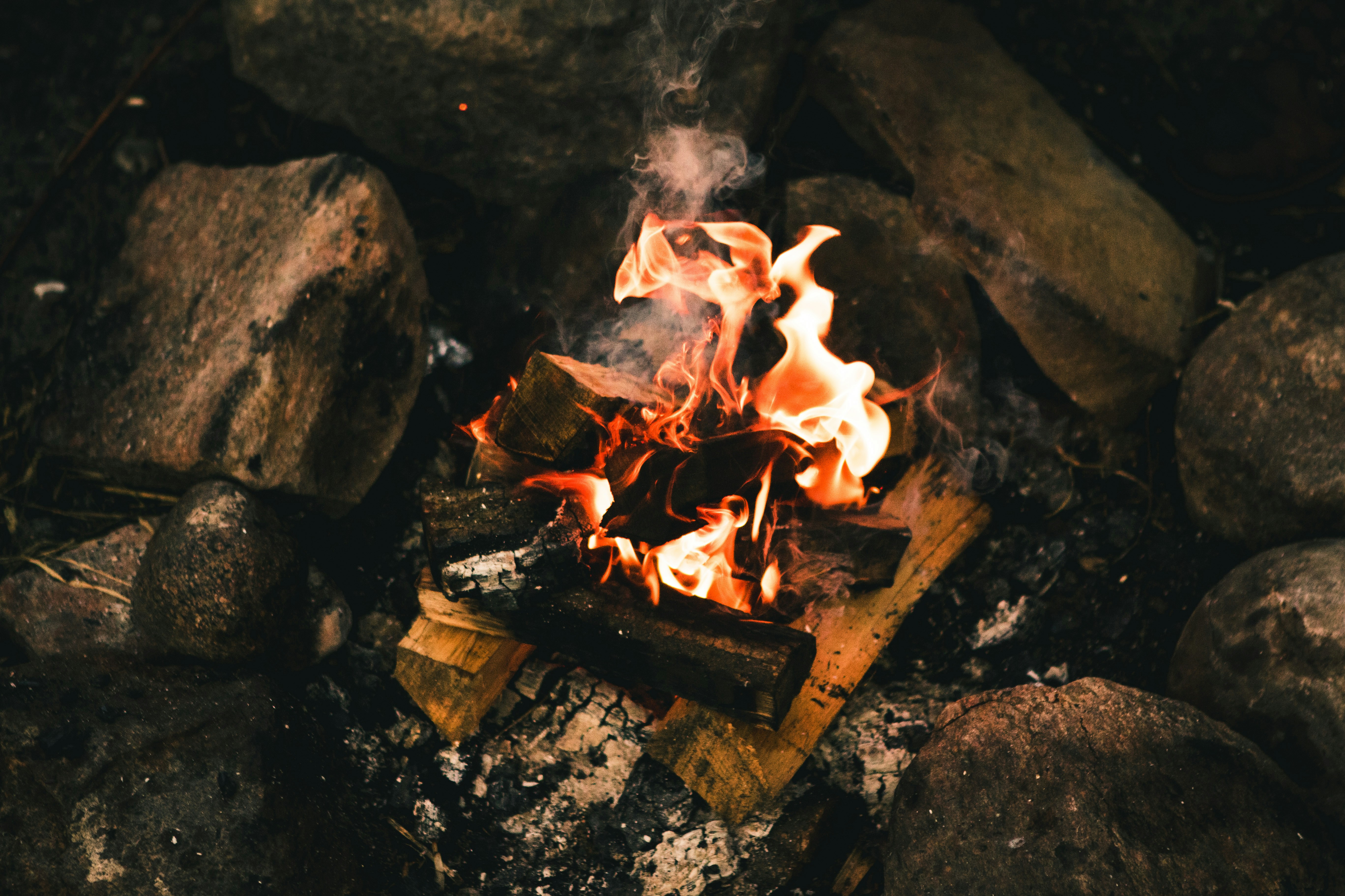 Best wild game recipes from New Hampshire?