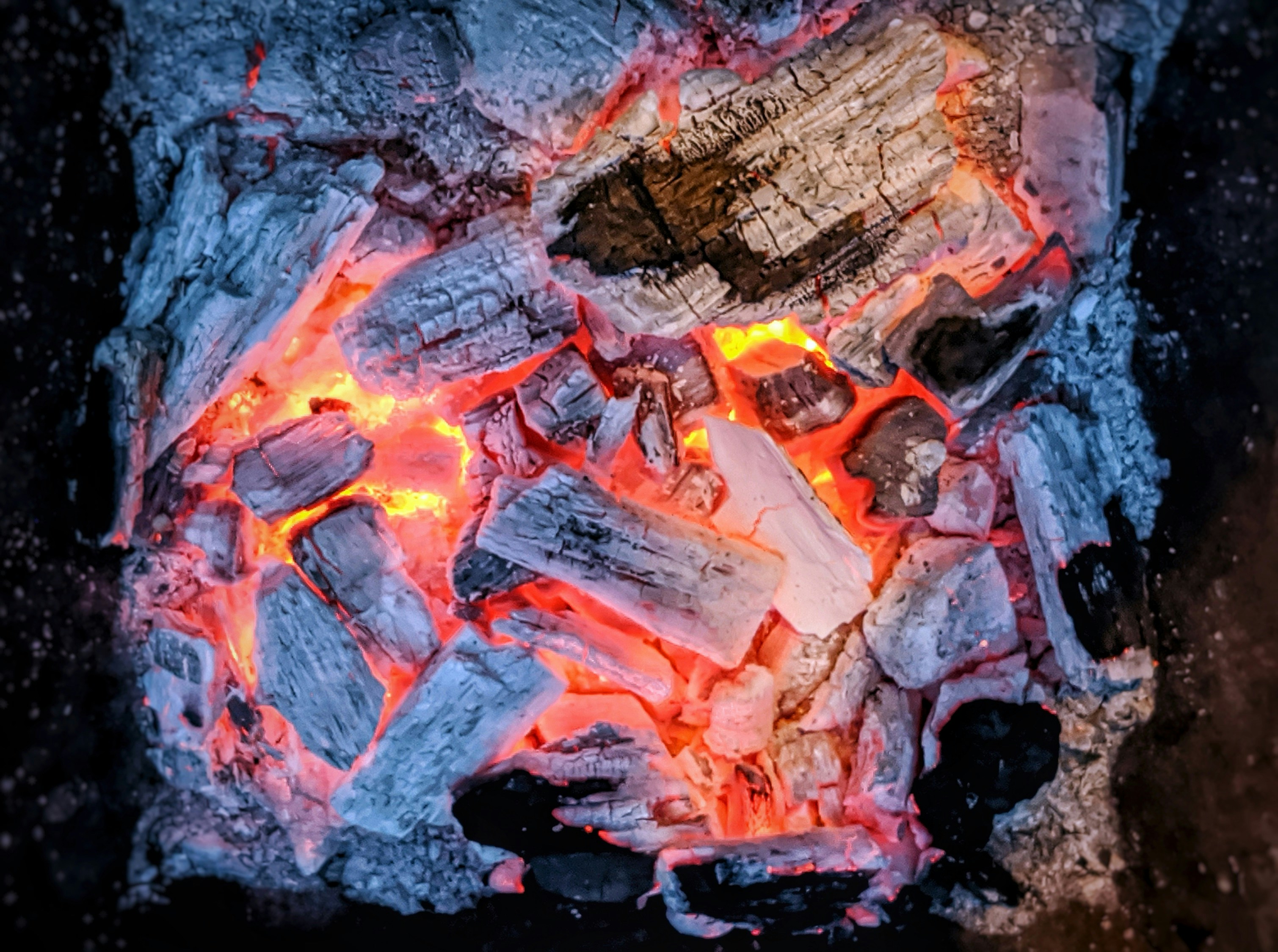 Best wild game recipes from New York?