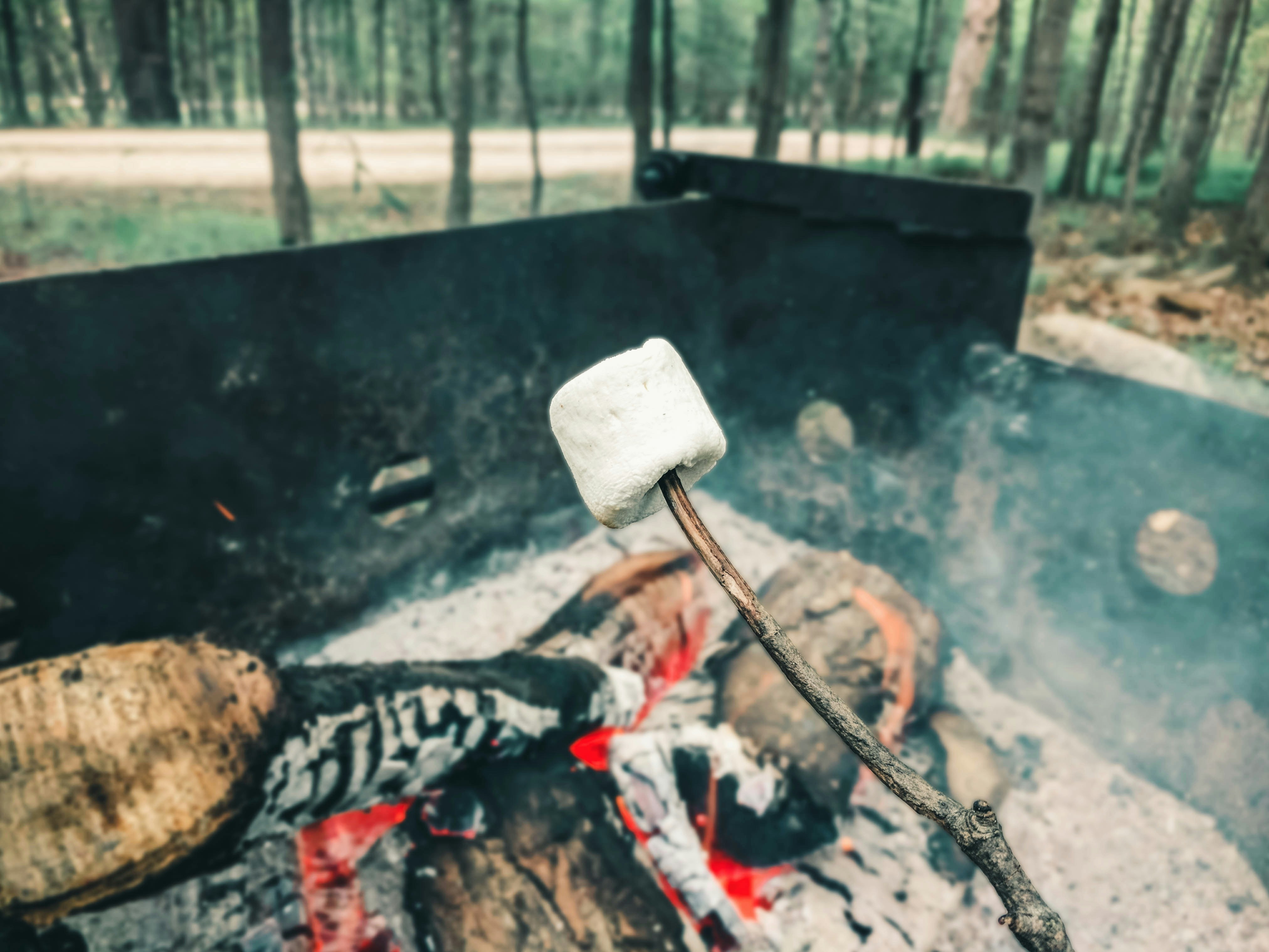 Best wild game recipes from North Carolina?
