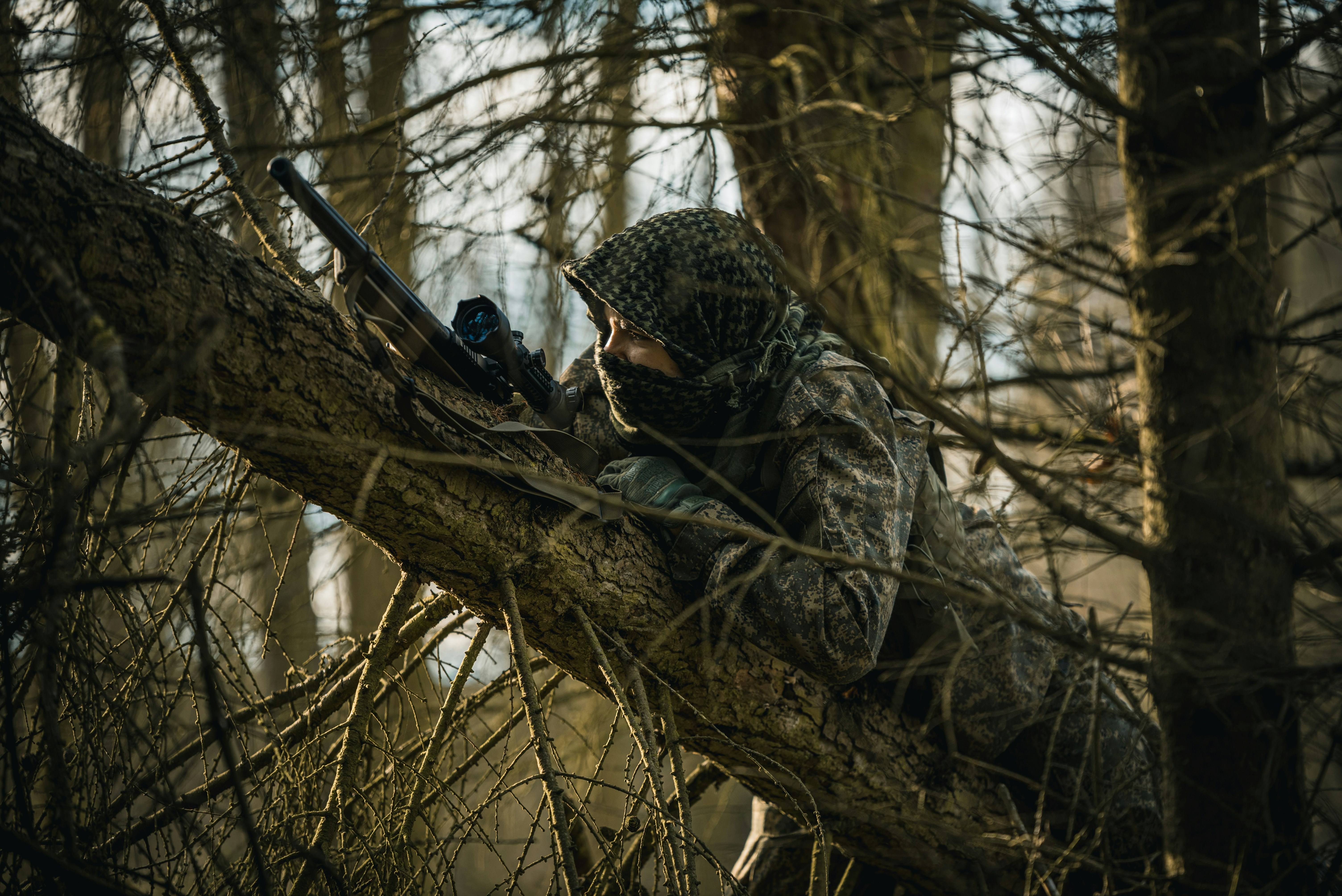 bow hunting setup for wild turkey hunting