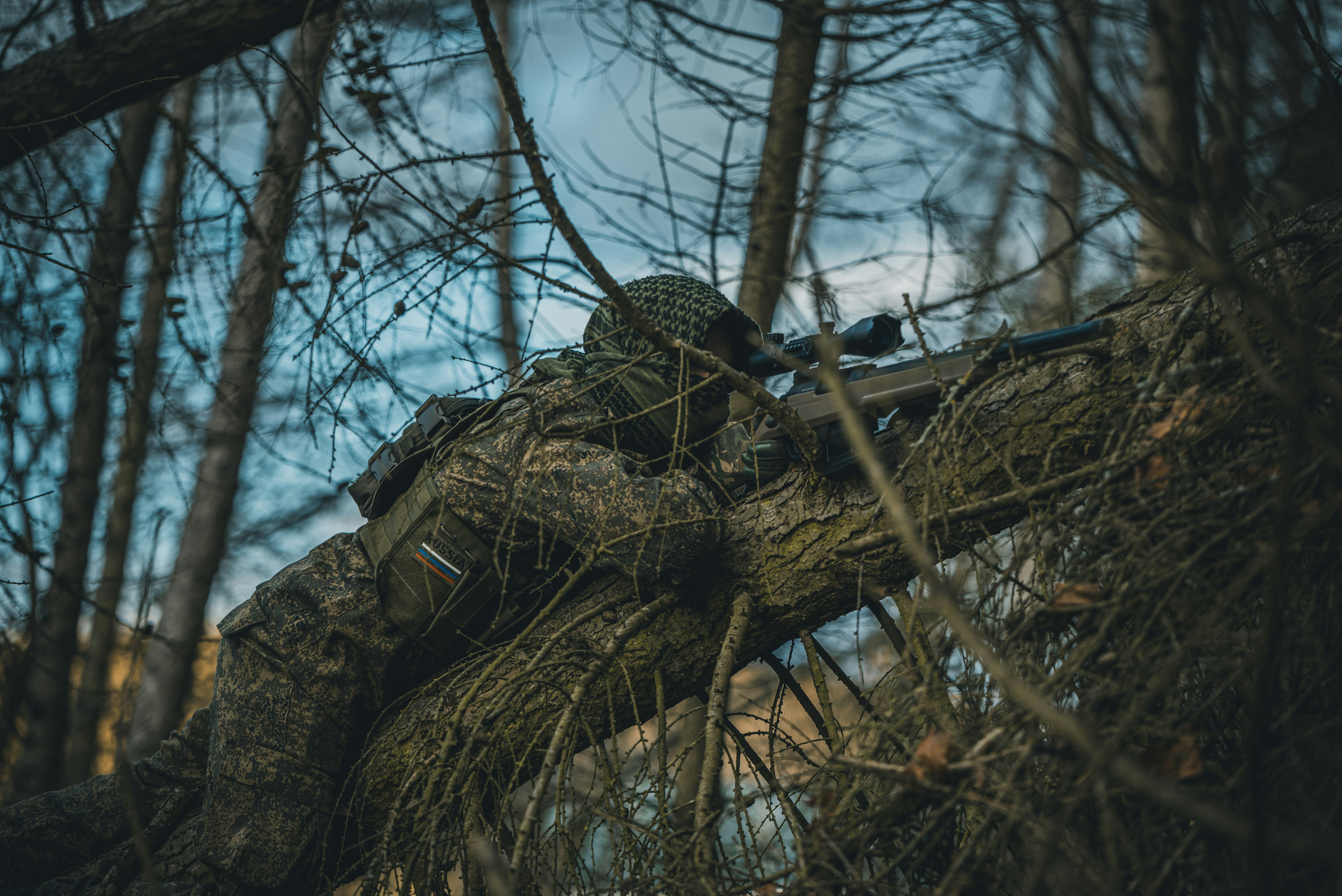 Budget bow hunting options for caribou hunting
