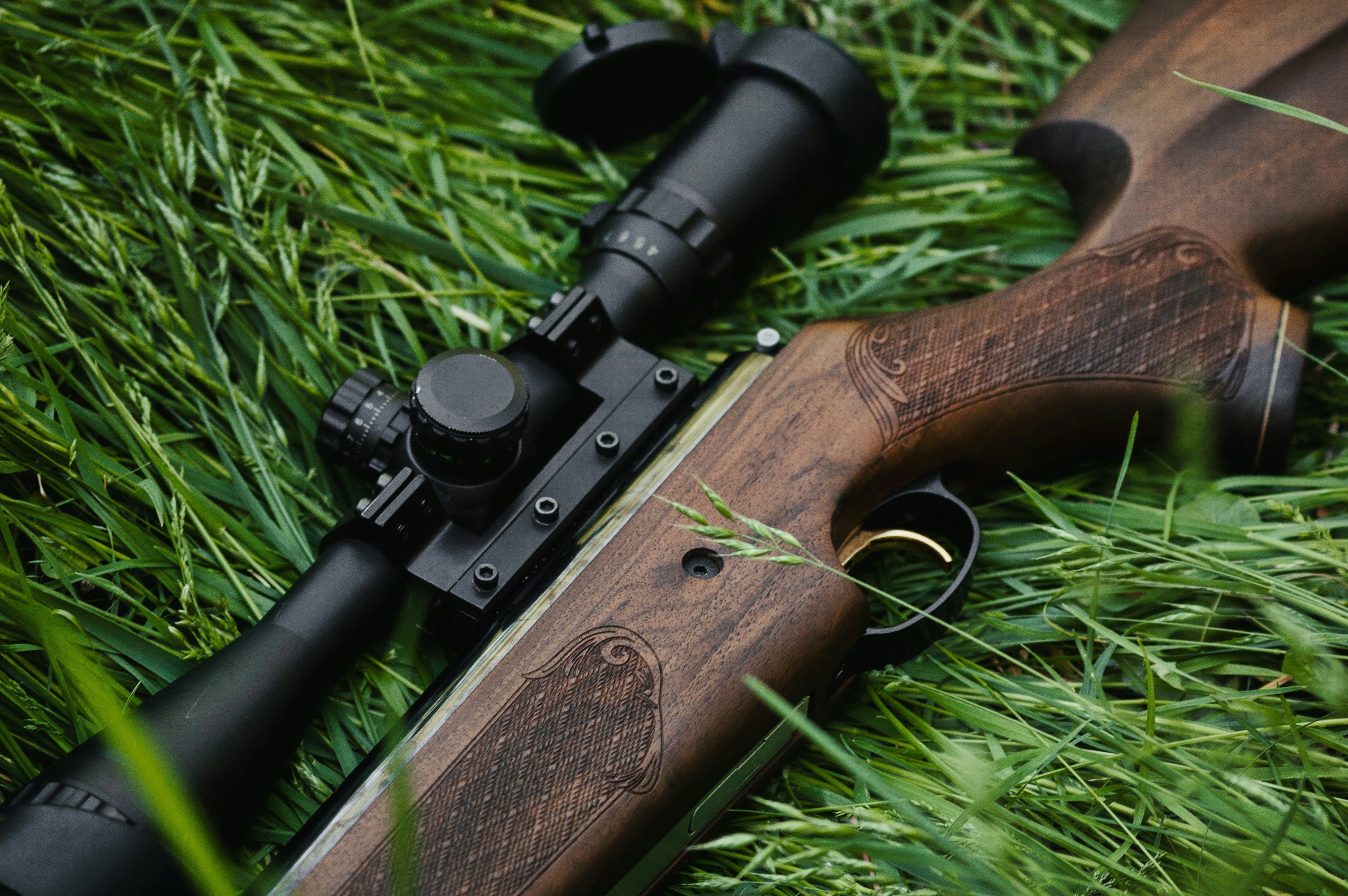 Budget muzzleloader hunting options for elk hunting