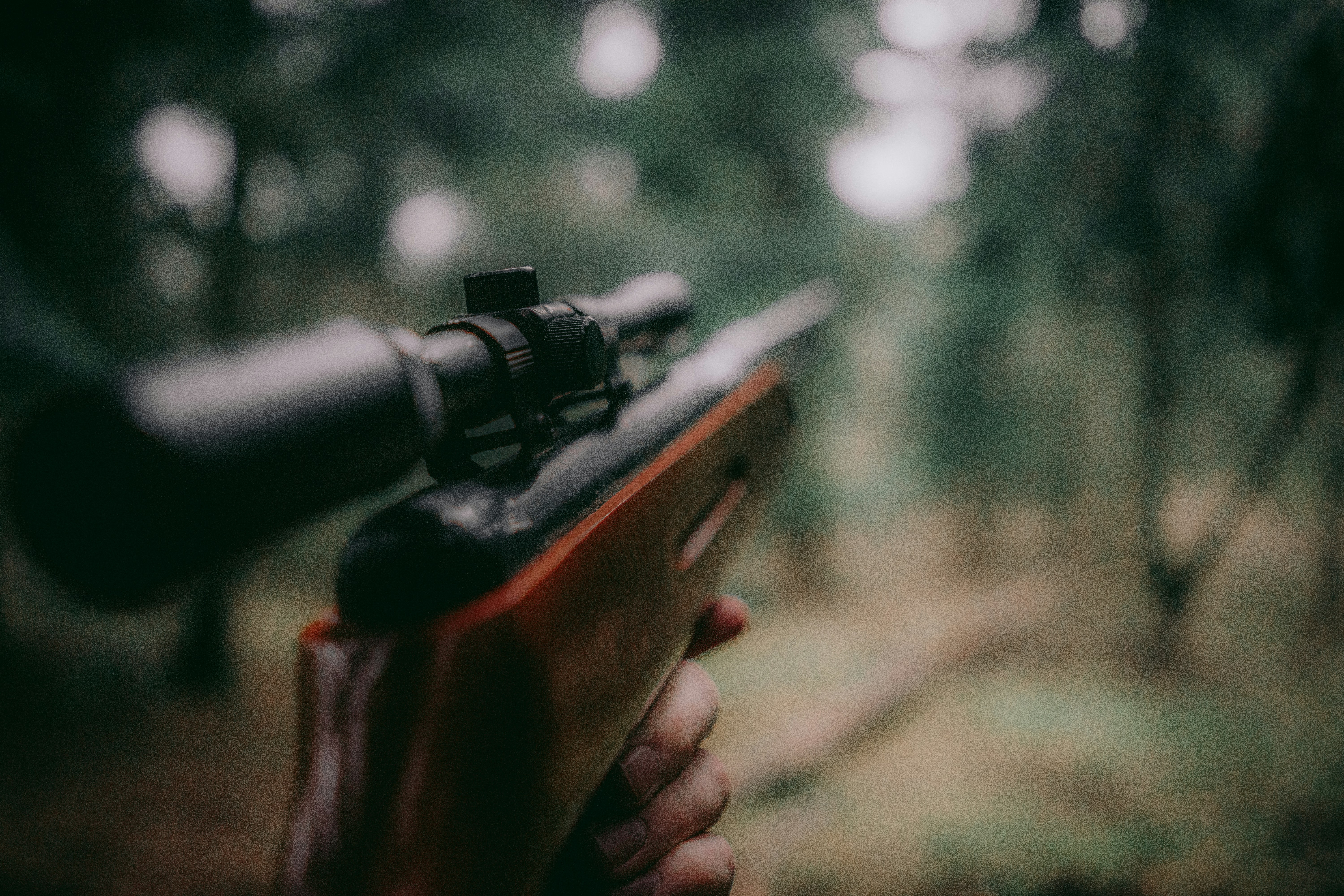 Budget rifle hunting options for pronghorn antelope hunting