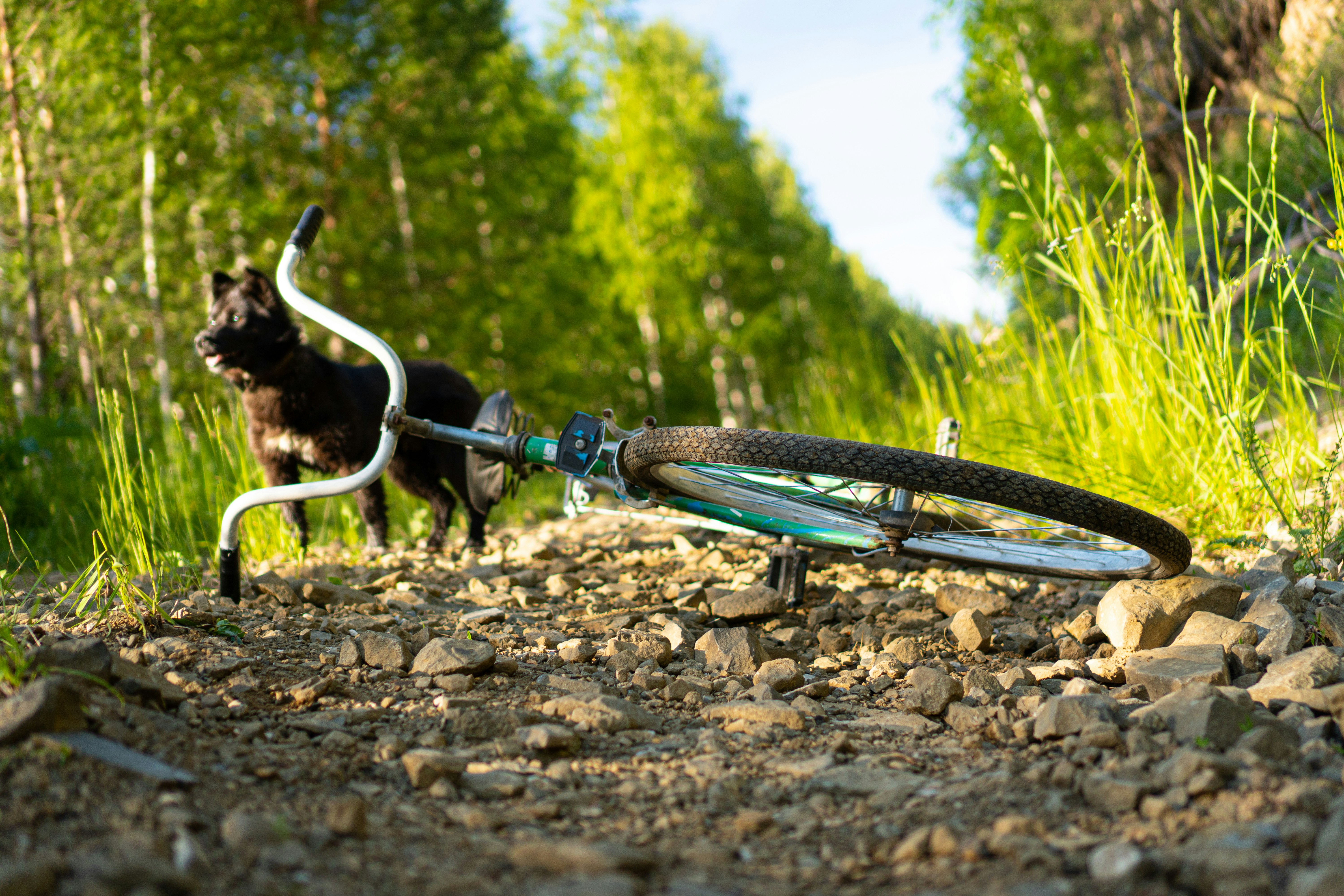 Communication safety for quail hunting