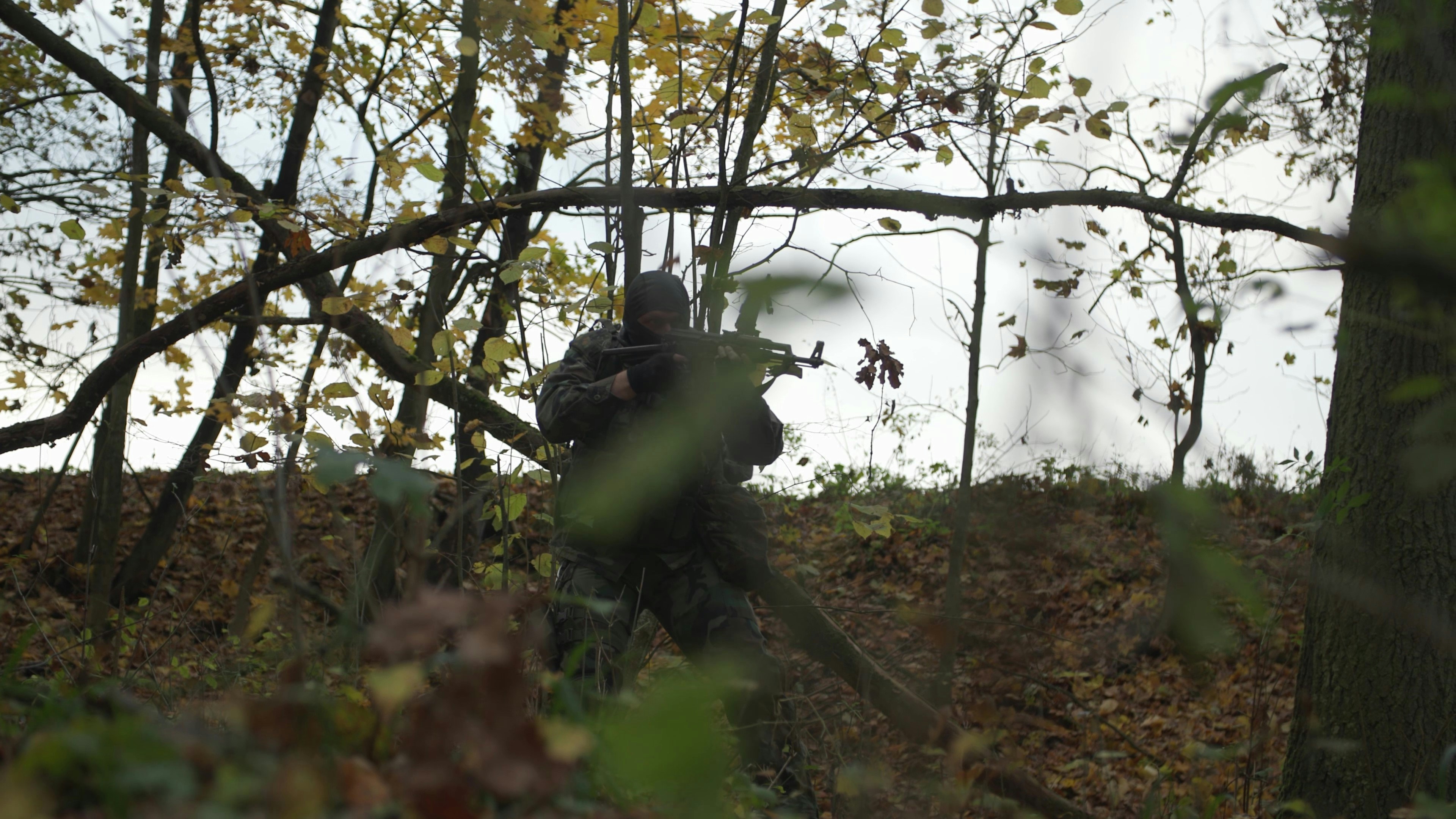 compound bow accessories for wild turkey hunting