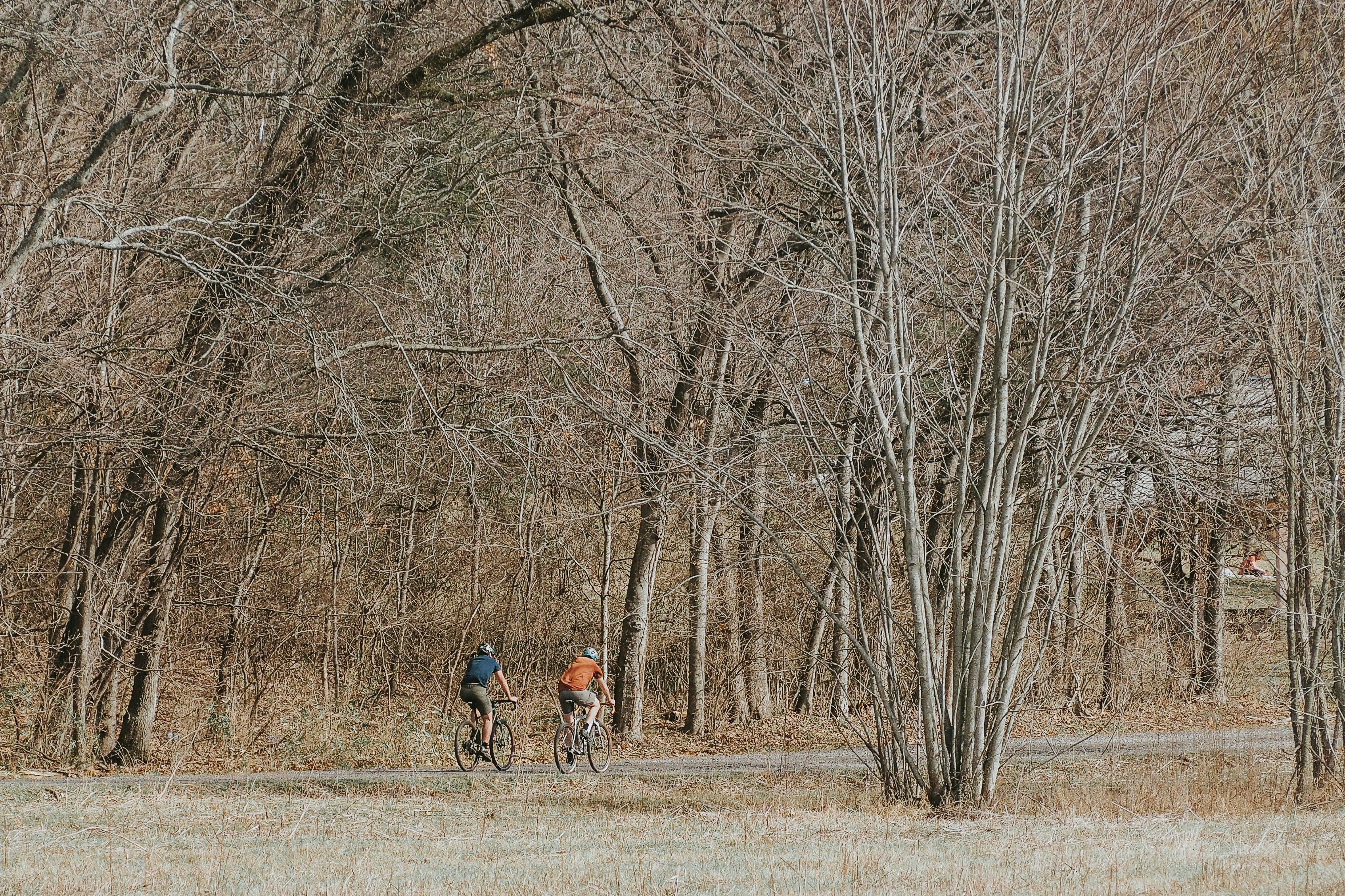 How did ancient hunters avoid dangerous predators?