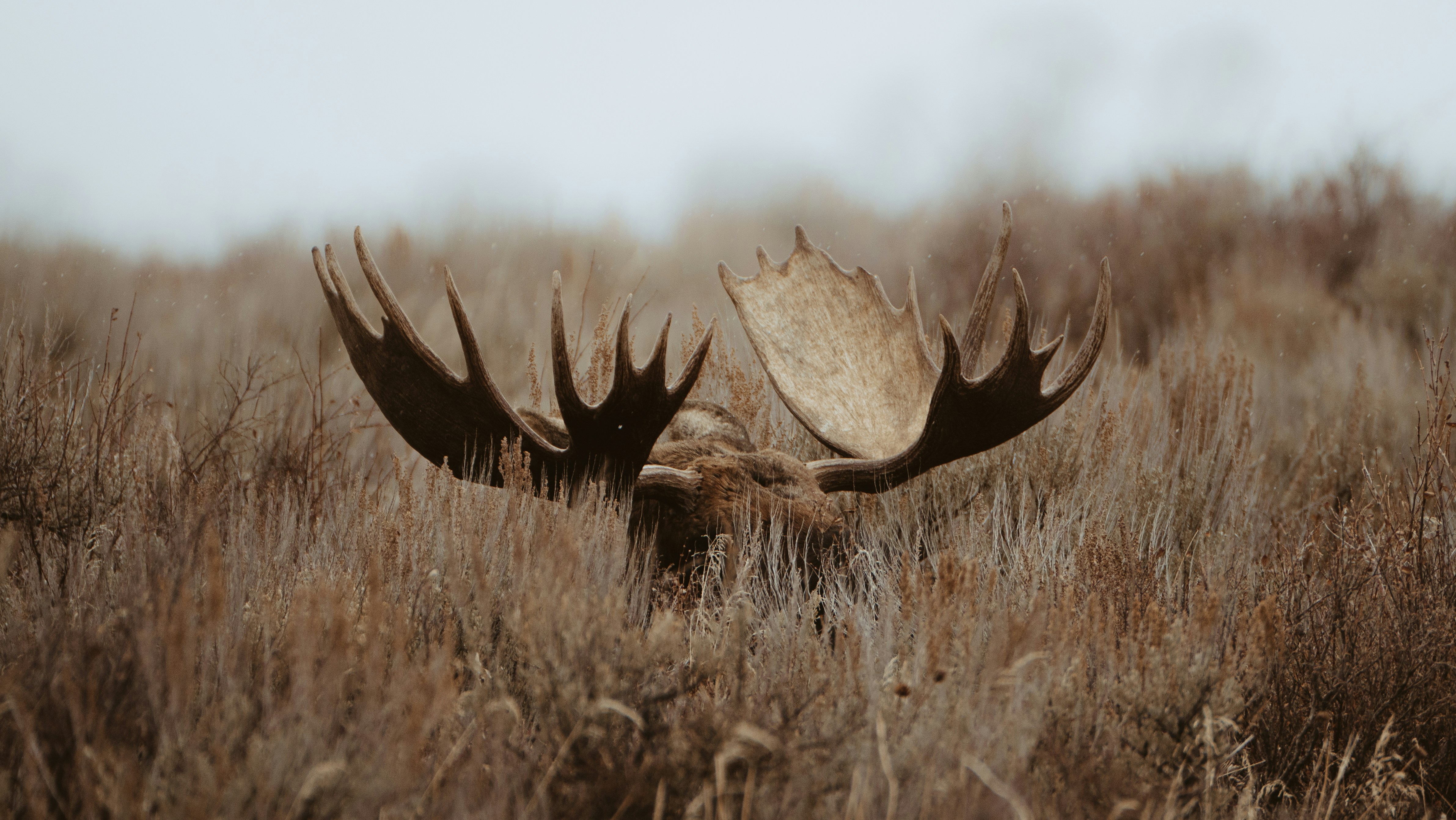 How did ancient hunters develop archery skills?