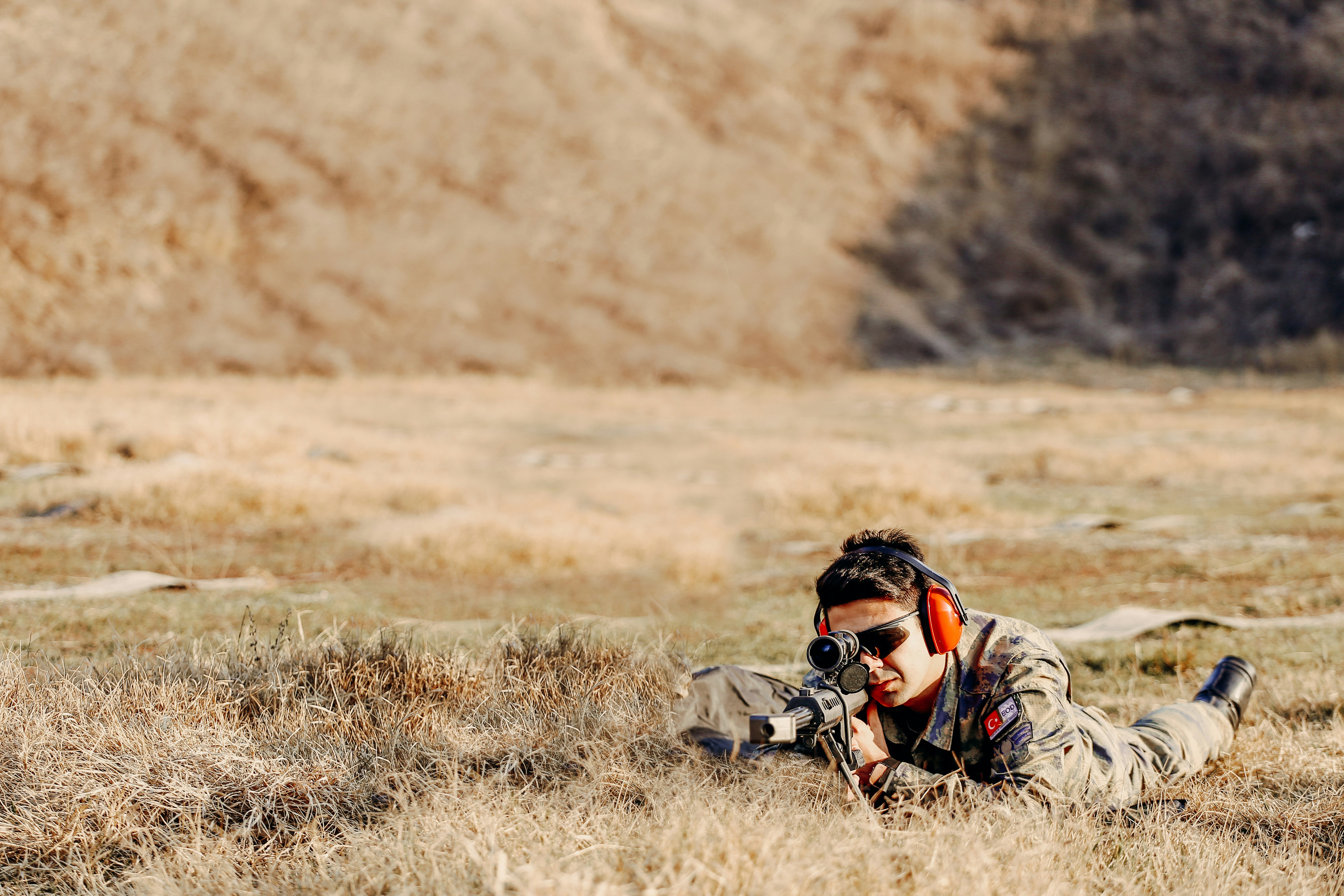How did ancient hunting dogs help prehistoric hunters?