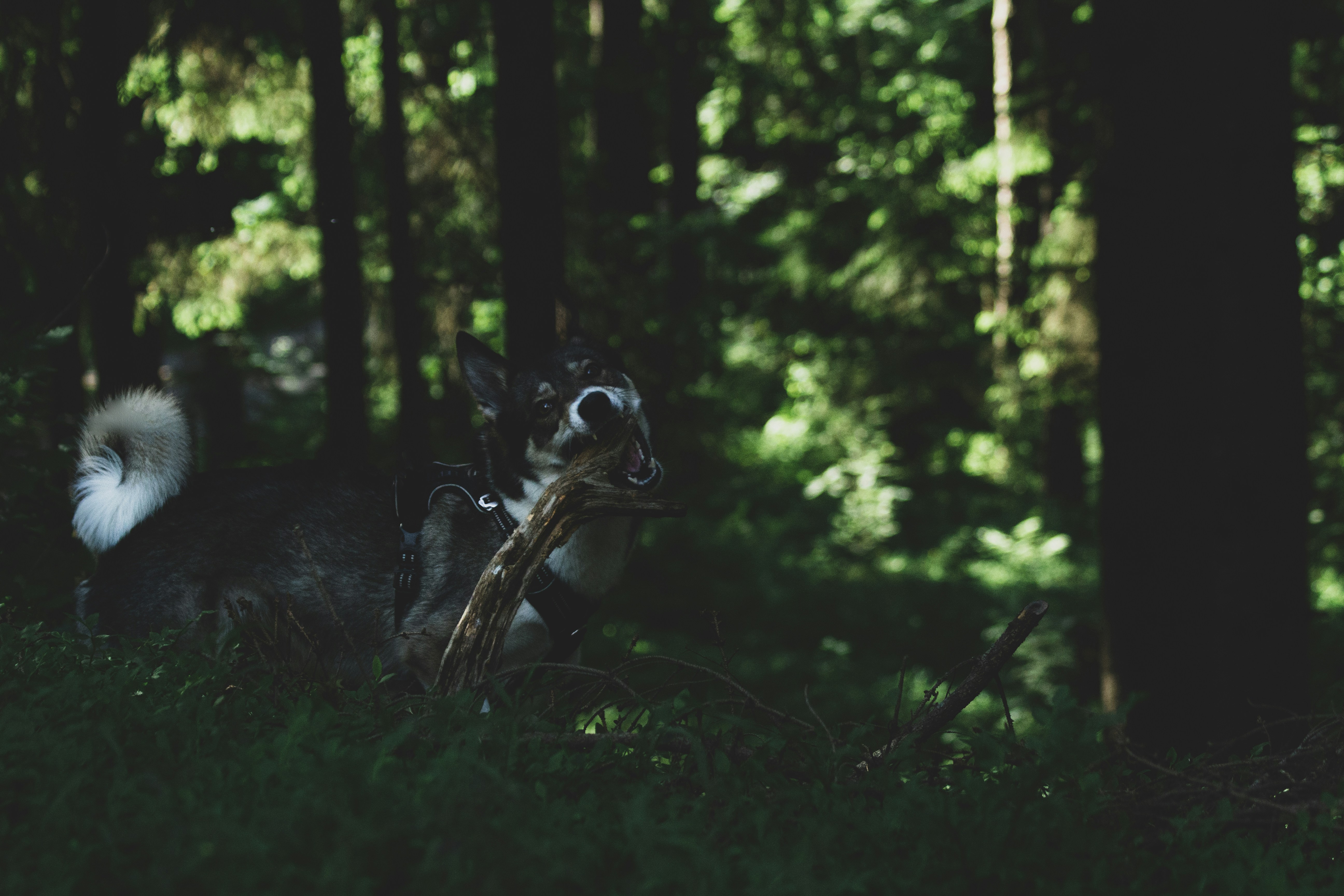 How did Arkansas's hunting heritage influence Southern outdoor culture?