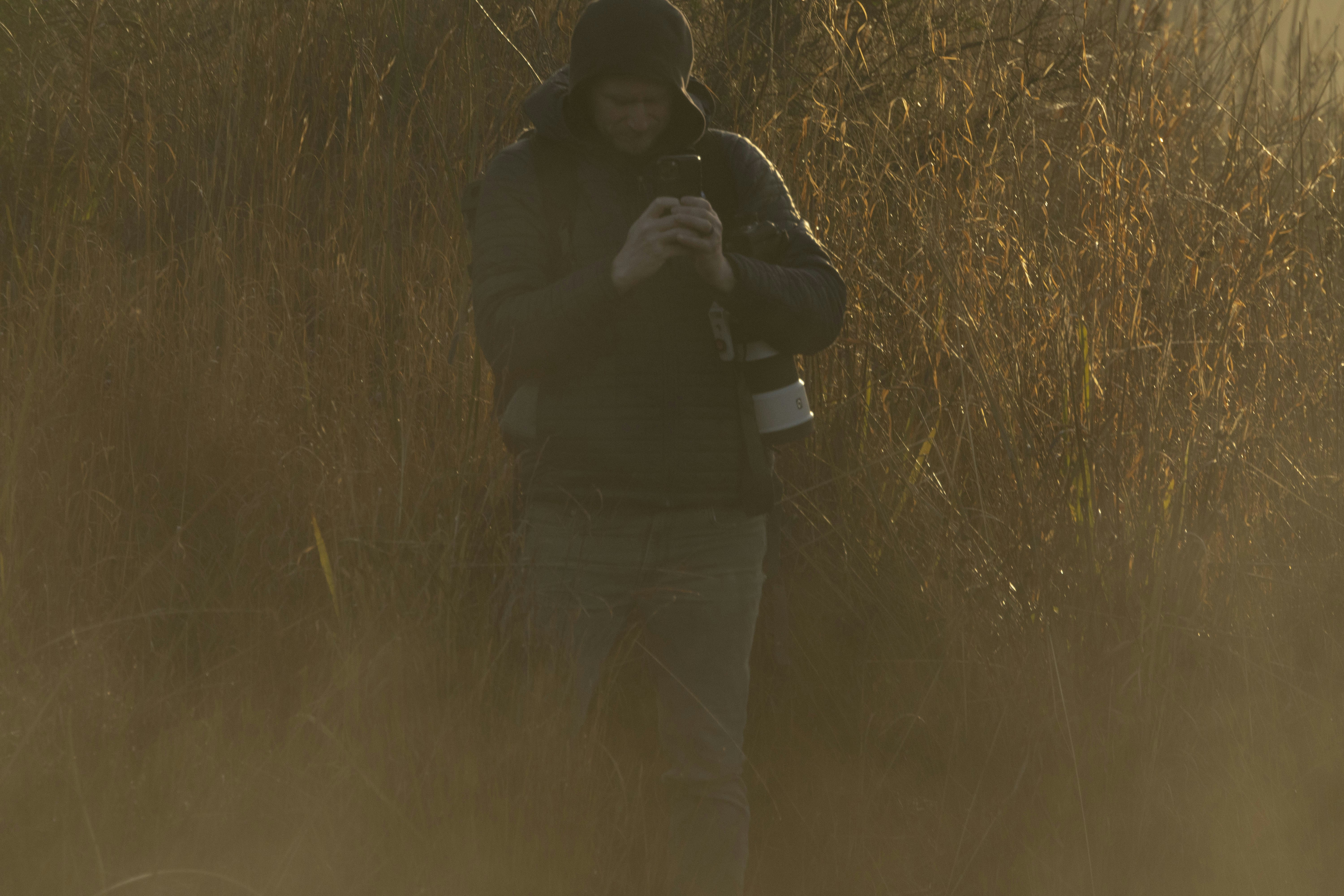 How did early hunting dogs track wounded game?