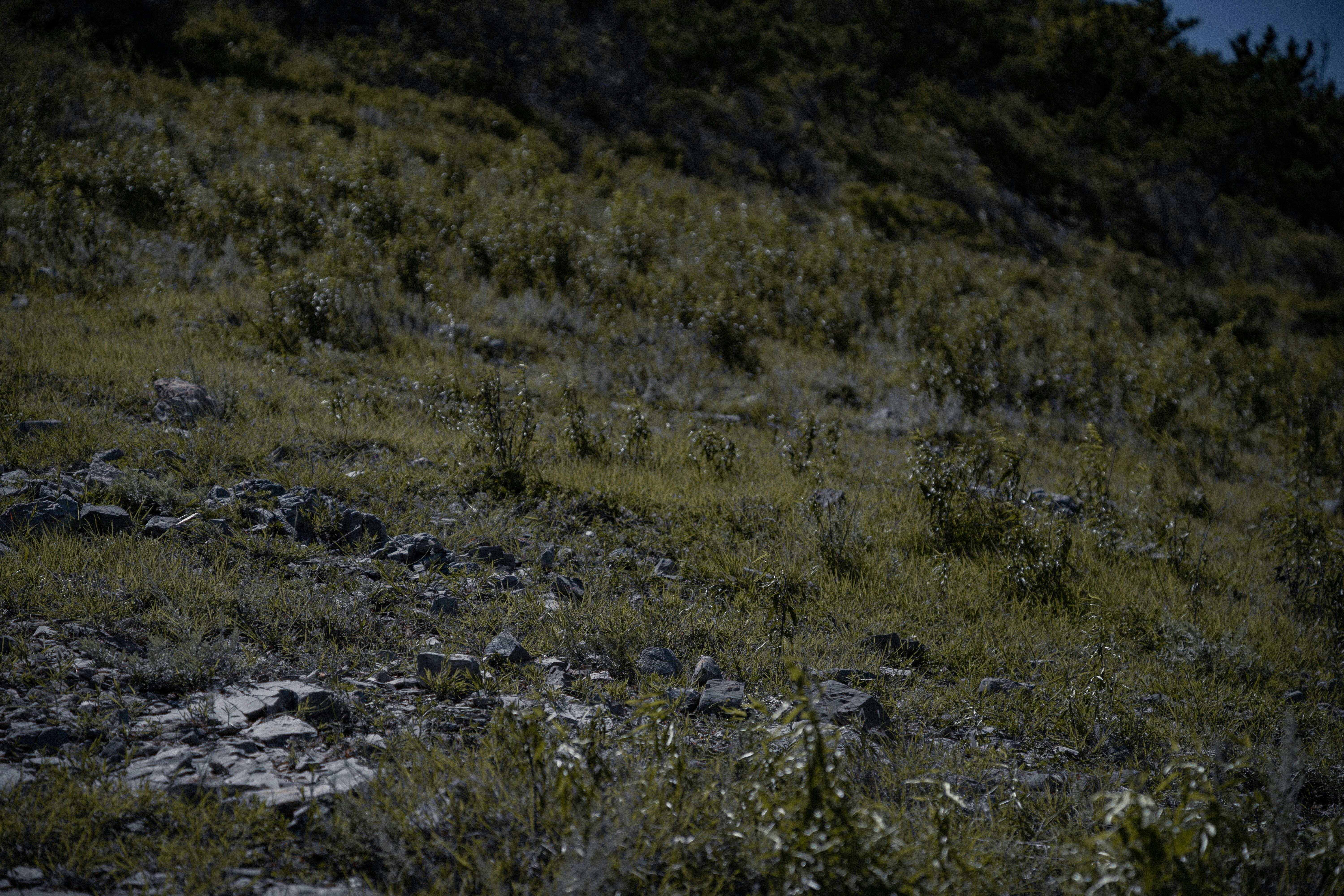 How did feudal lords control hunting rights?