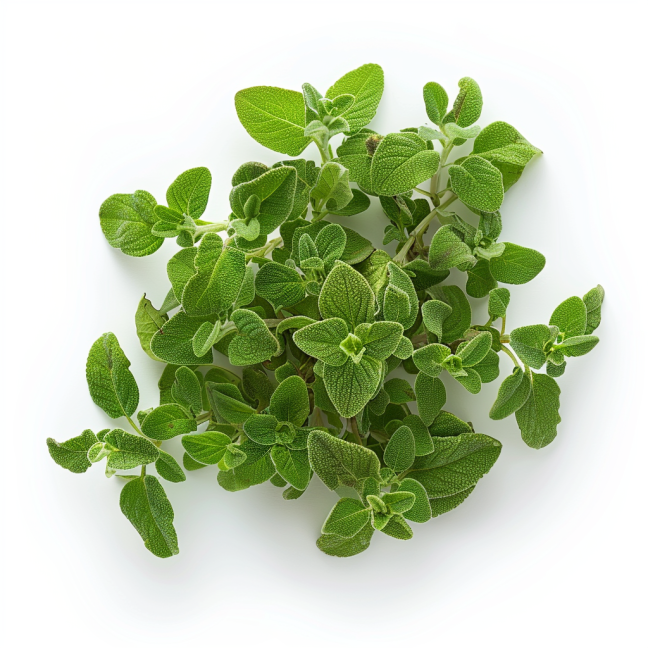 1 teaspoon Mexican oregano