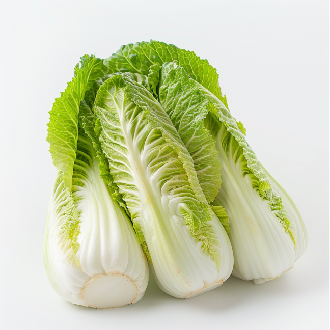 2 cups cabbage, finely shredded