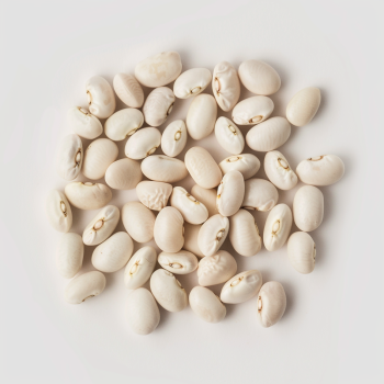 Quail Confit with White Beans